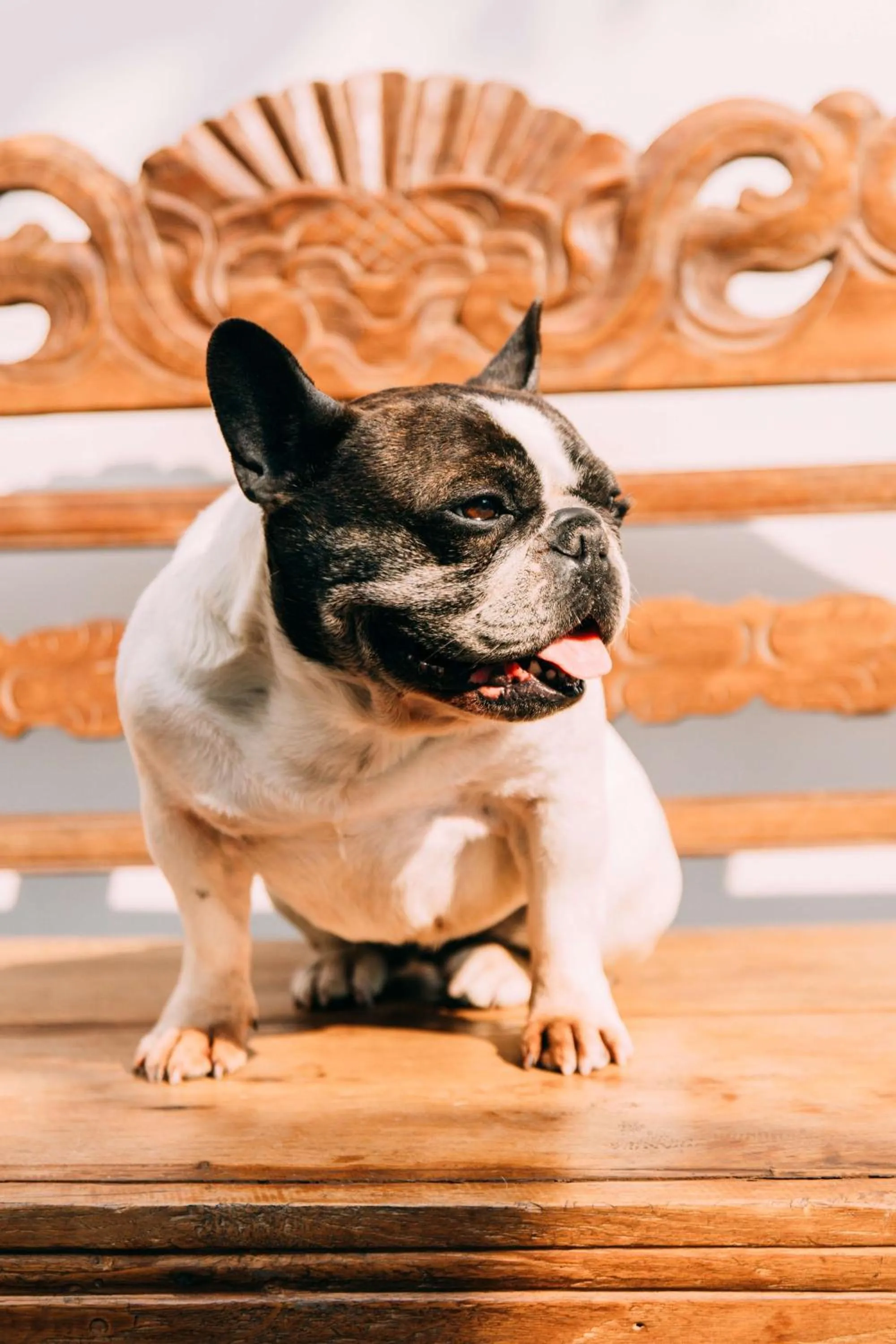 Activities in YueLore Retreat