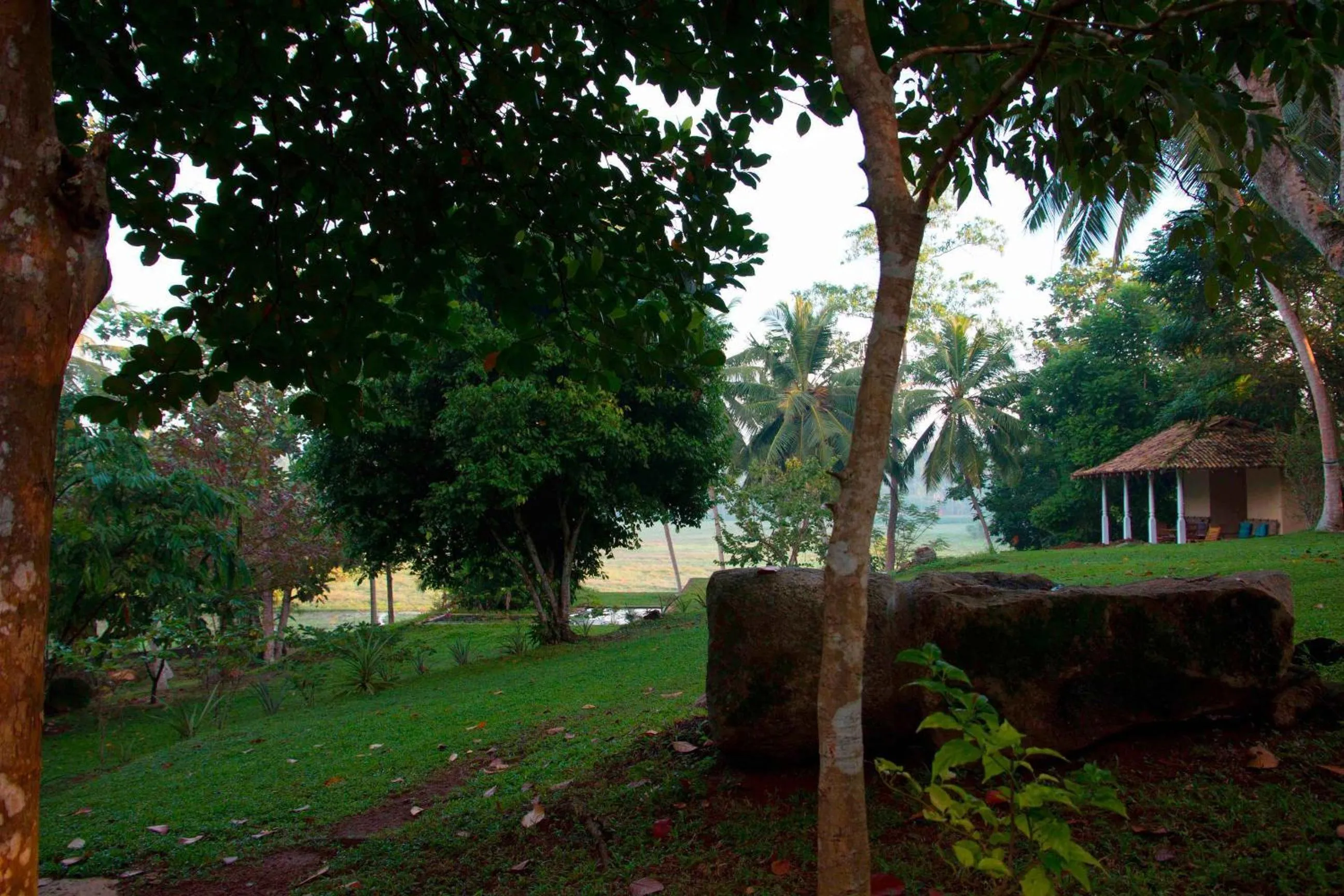 Natural landscape in Stone Well Garden Villa