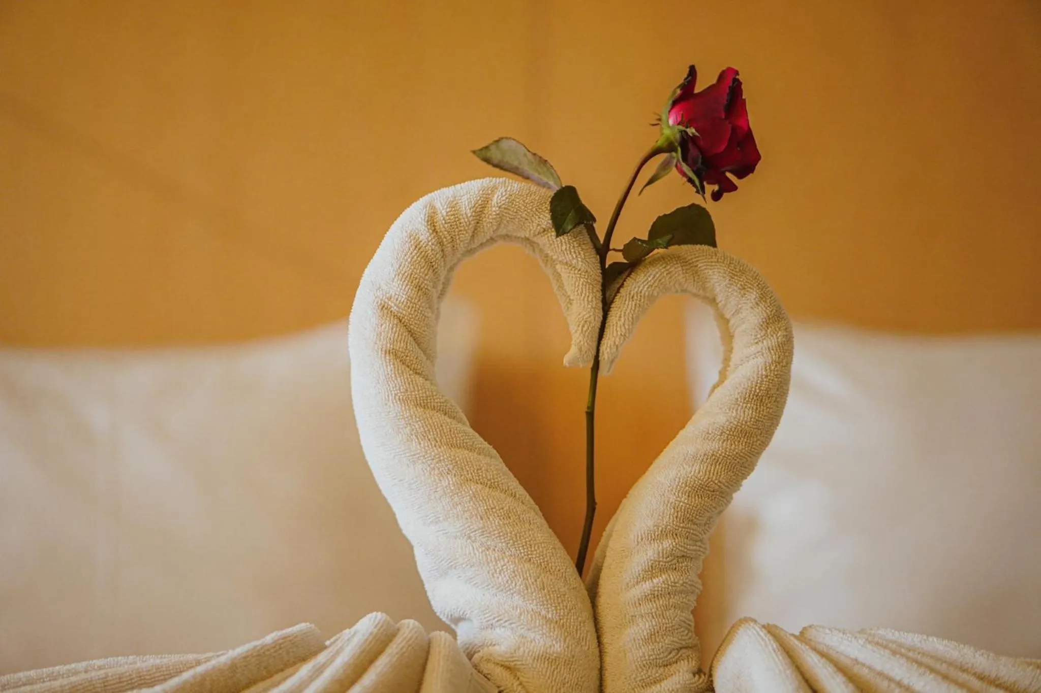 Decorative detail in Ascent Hotel & Cafe Malang