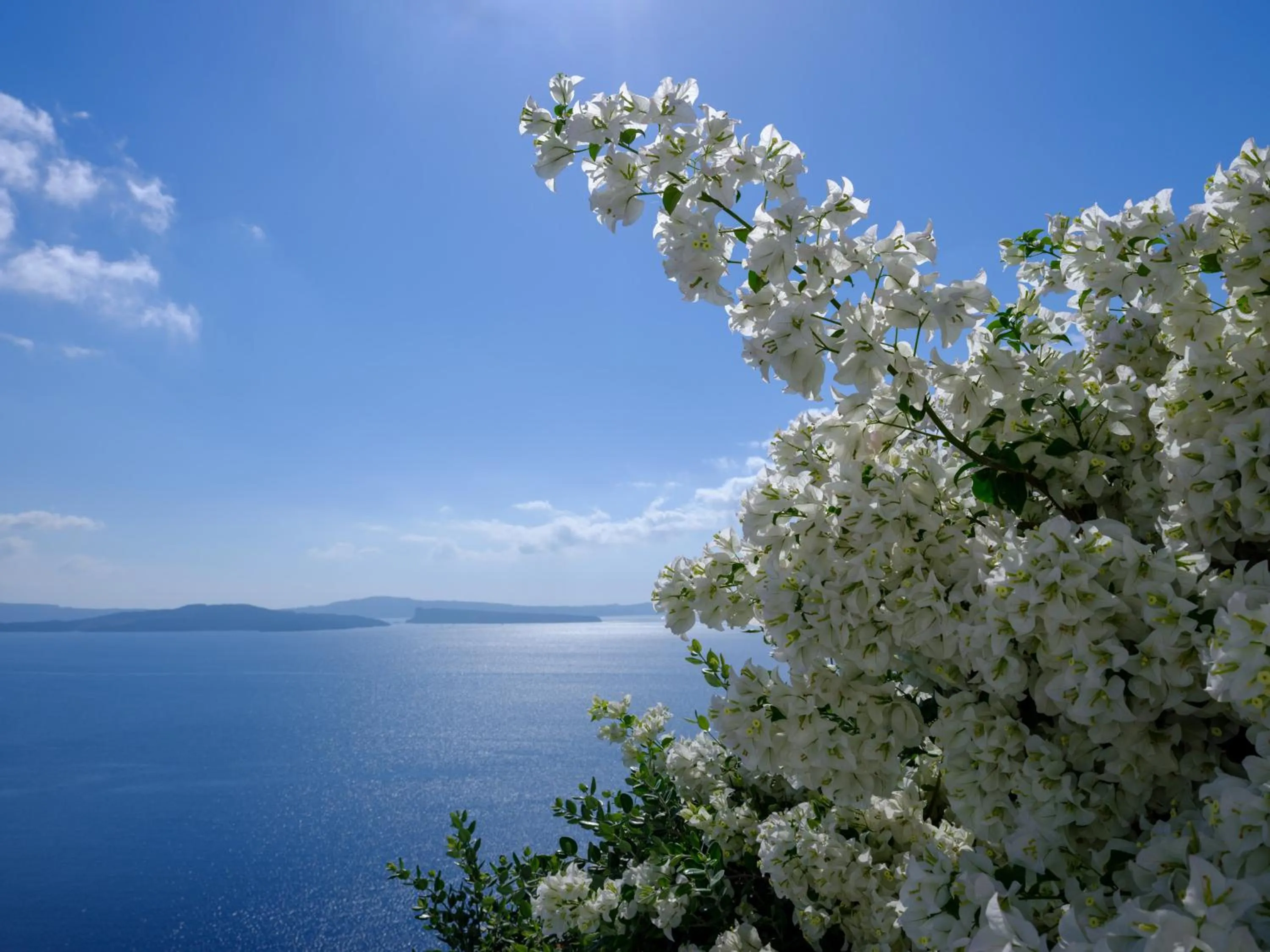 Property building in Thirea Suites