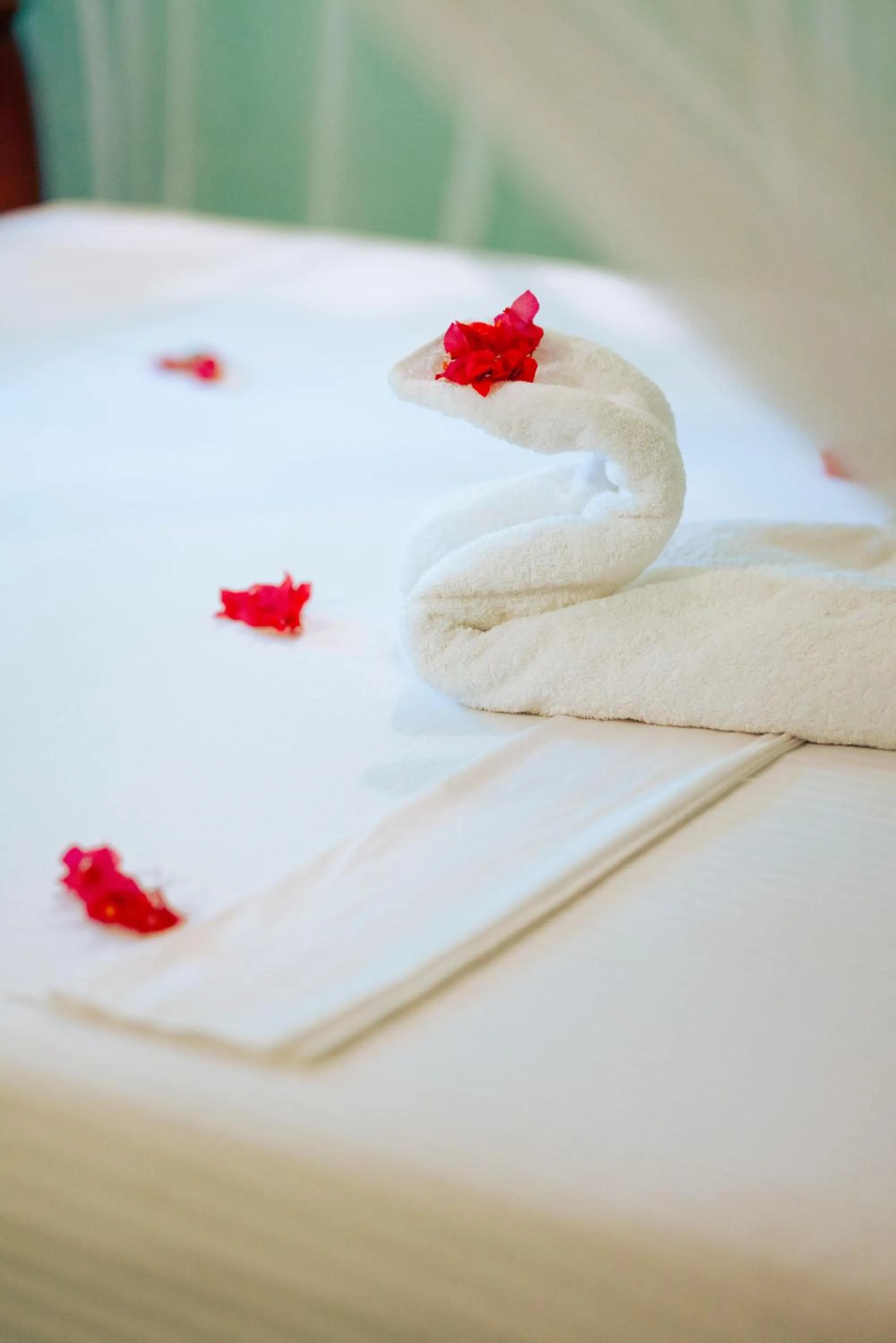 The Frangipani motel