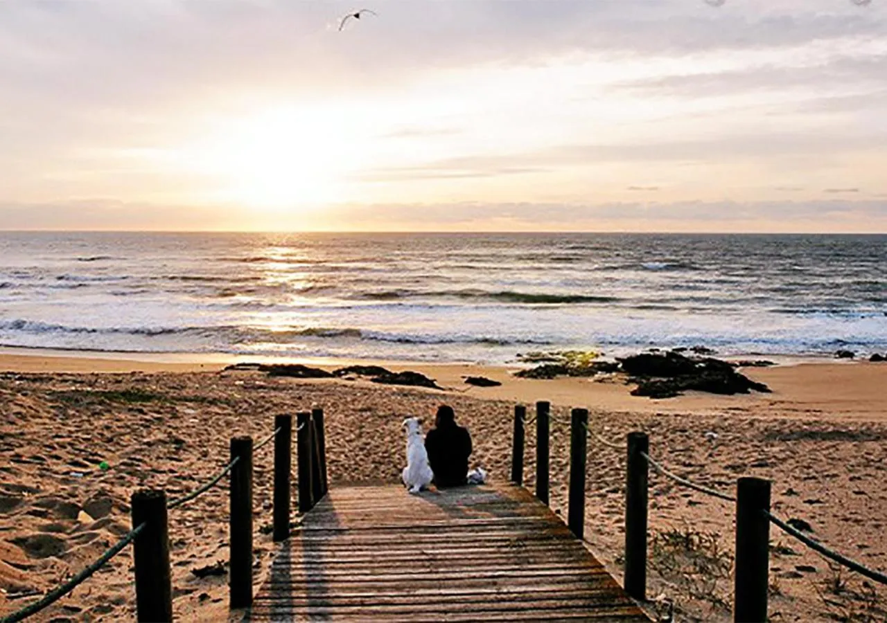 Nearby landmark in Parque de Campismo Orbitur Angeiras