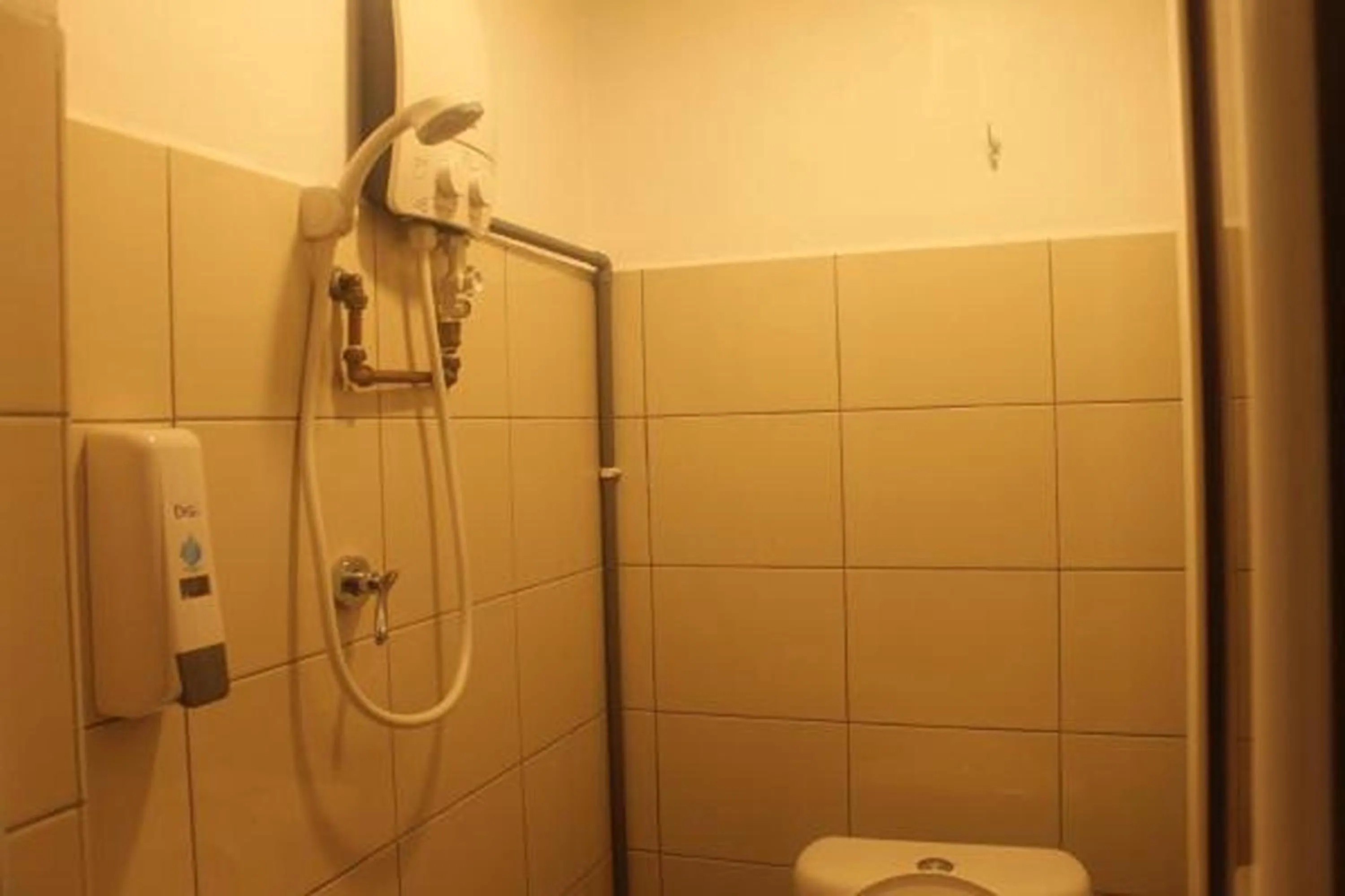 Shower in Ros Heritage Motel