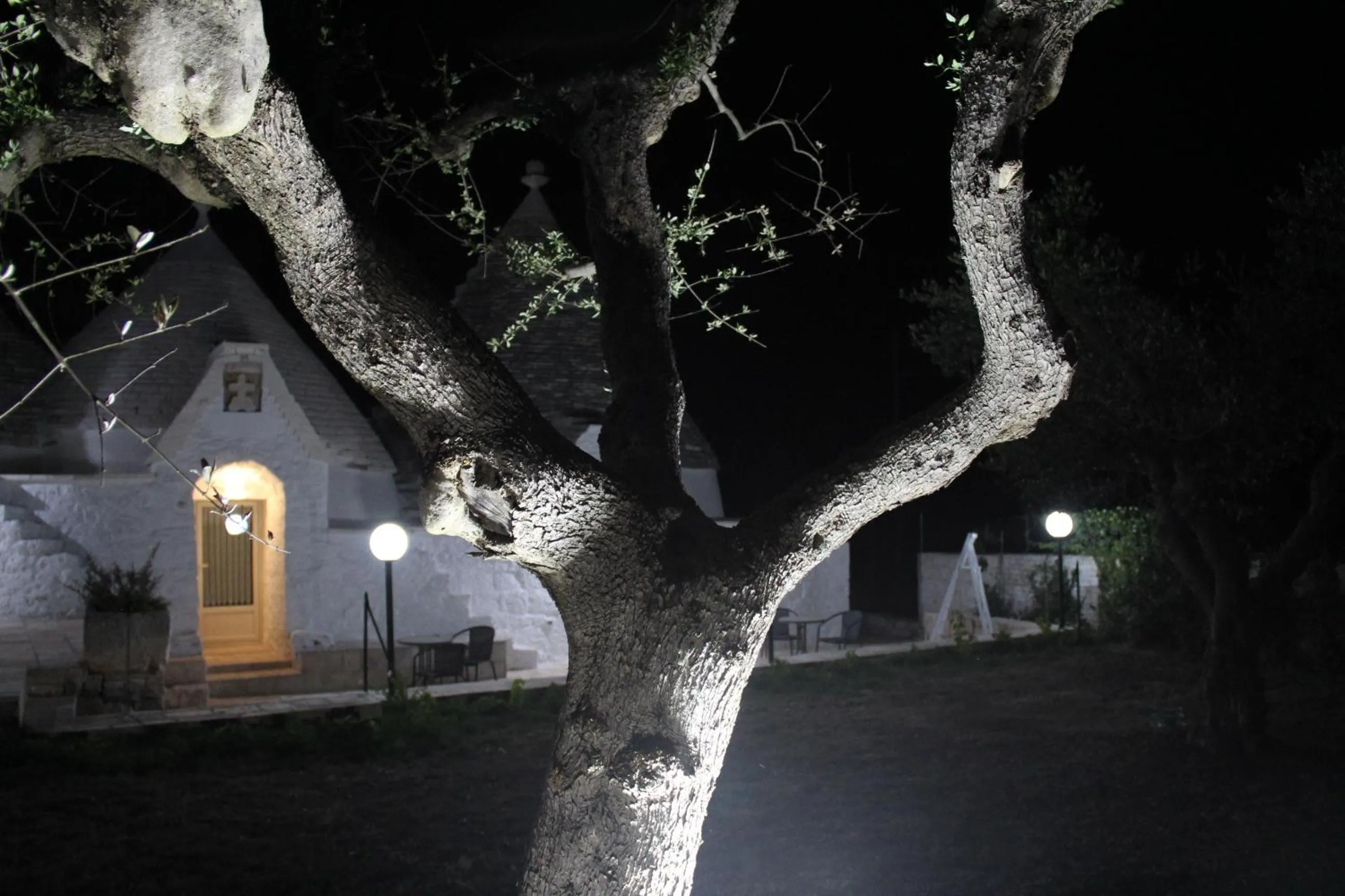 Garden in B&B Masseria Nuove Caselle
