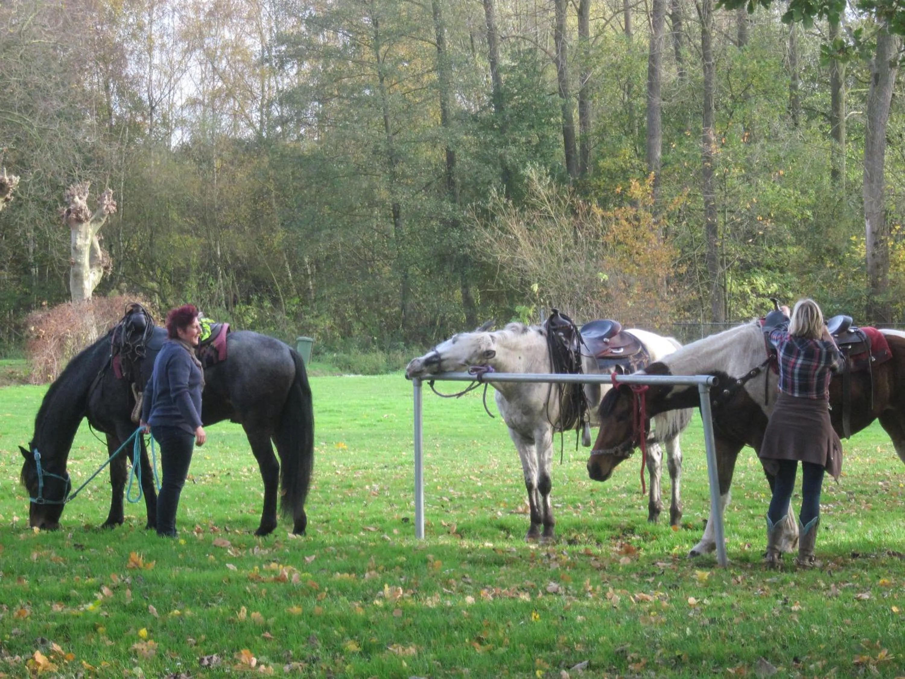 Horse-riding in Hotel De Watermolen