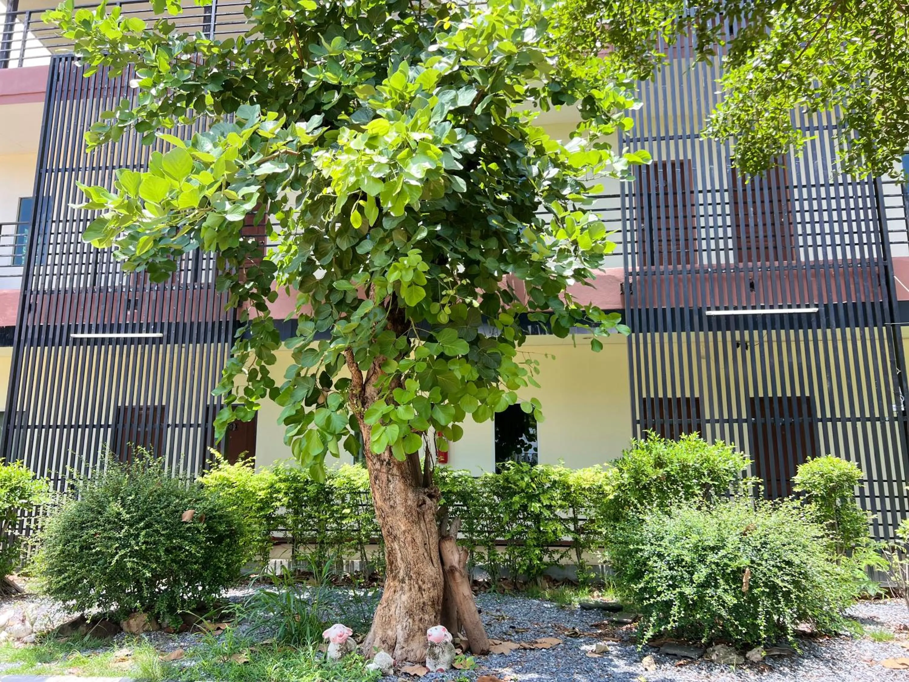 Property building in Rungreang Hotel