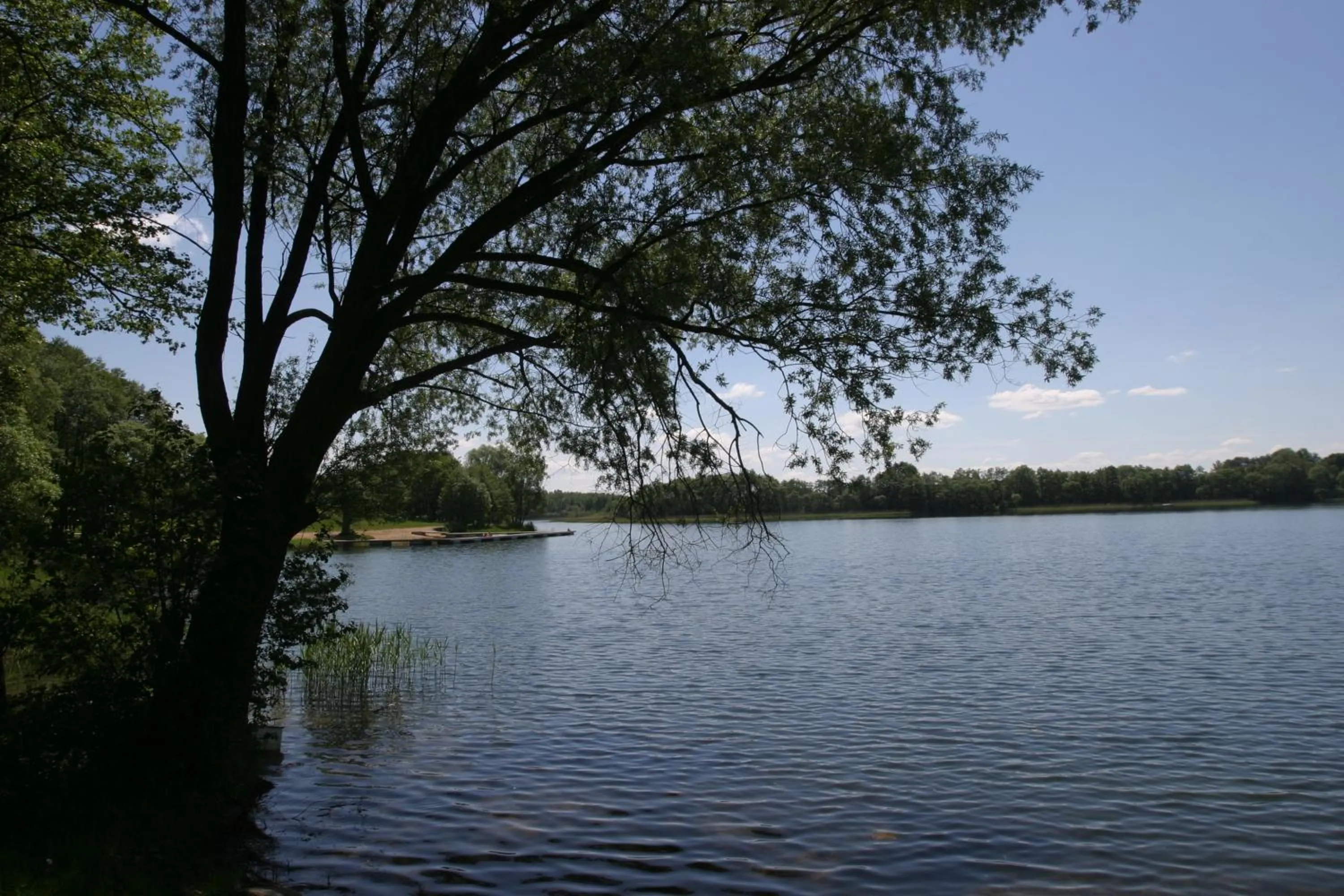 Natural landscape in Hotel Abrava