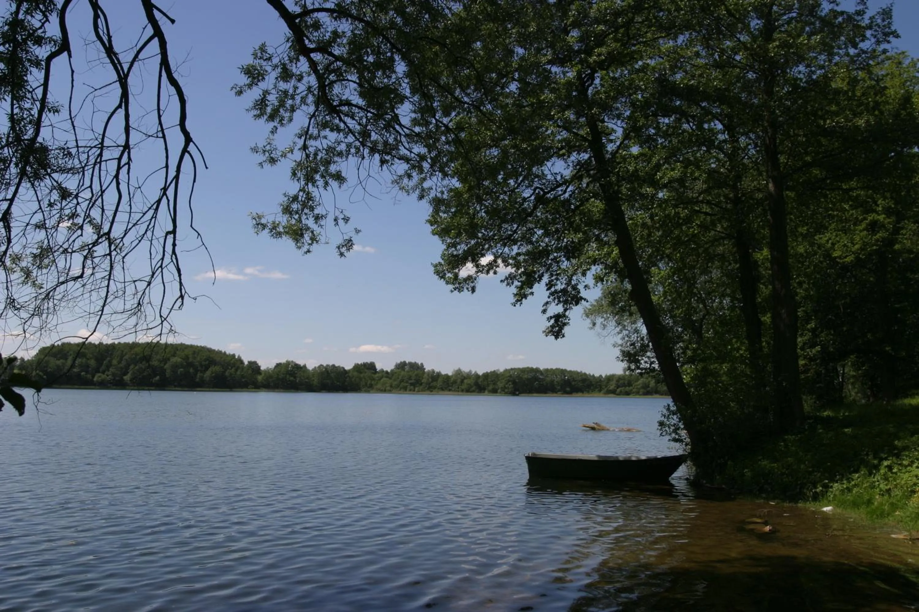 Natural landscape in Hotel Abrava