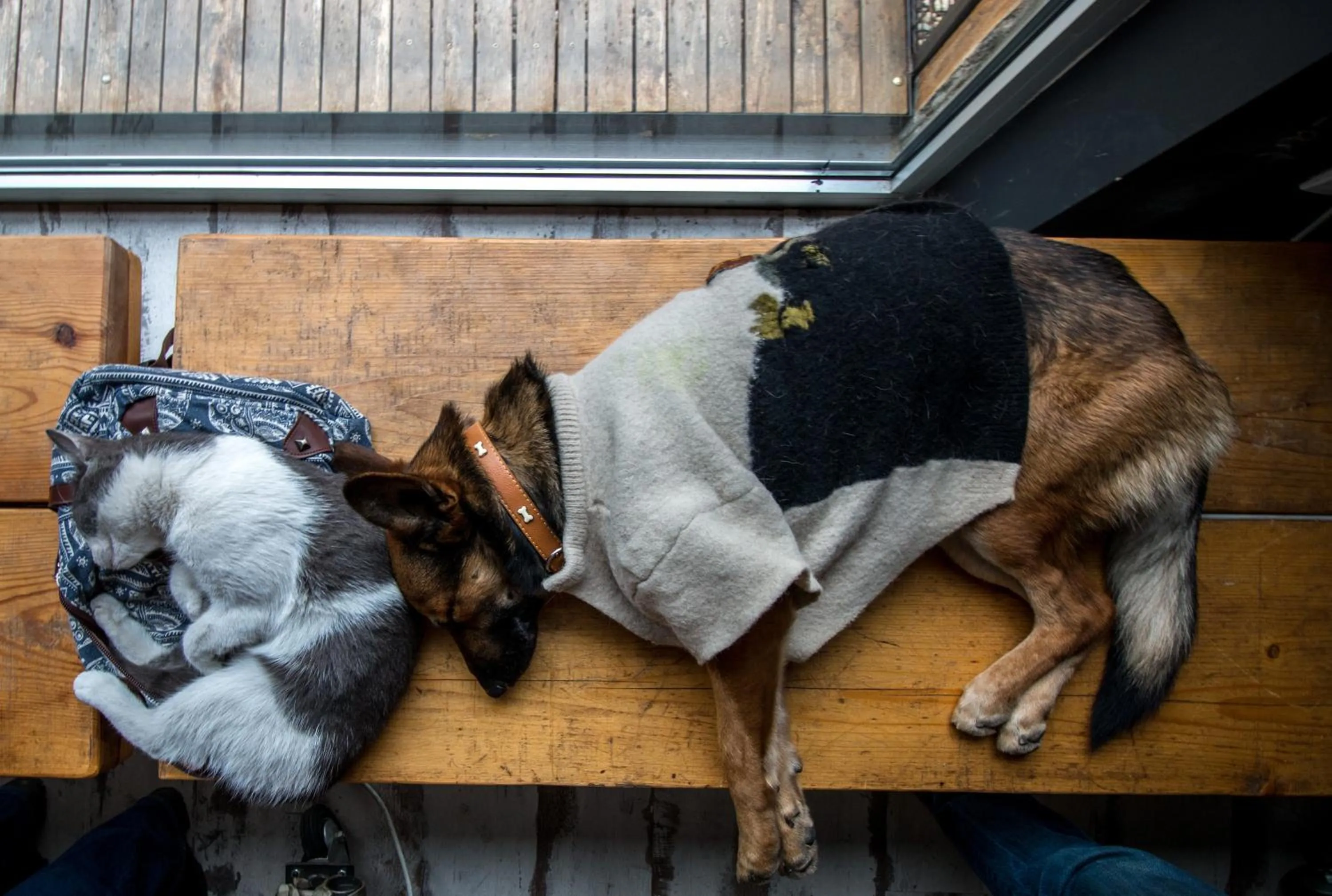 Communal lounge/ TV room in Hostel Fair and Square