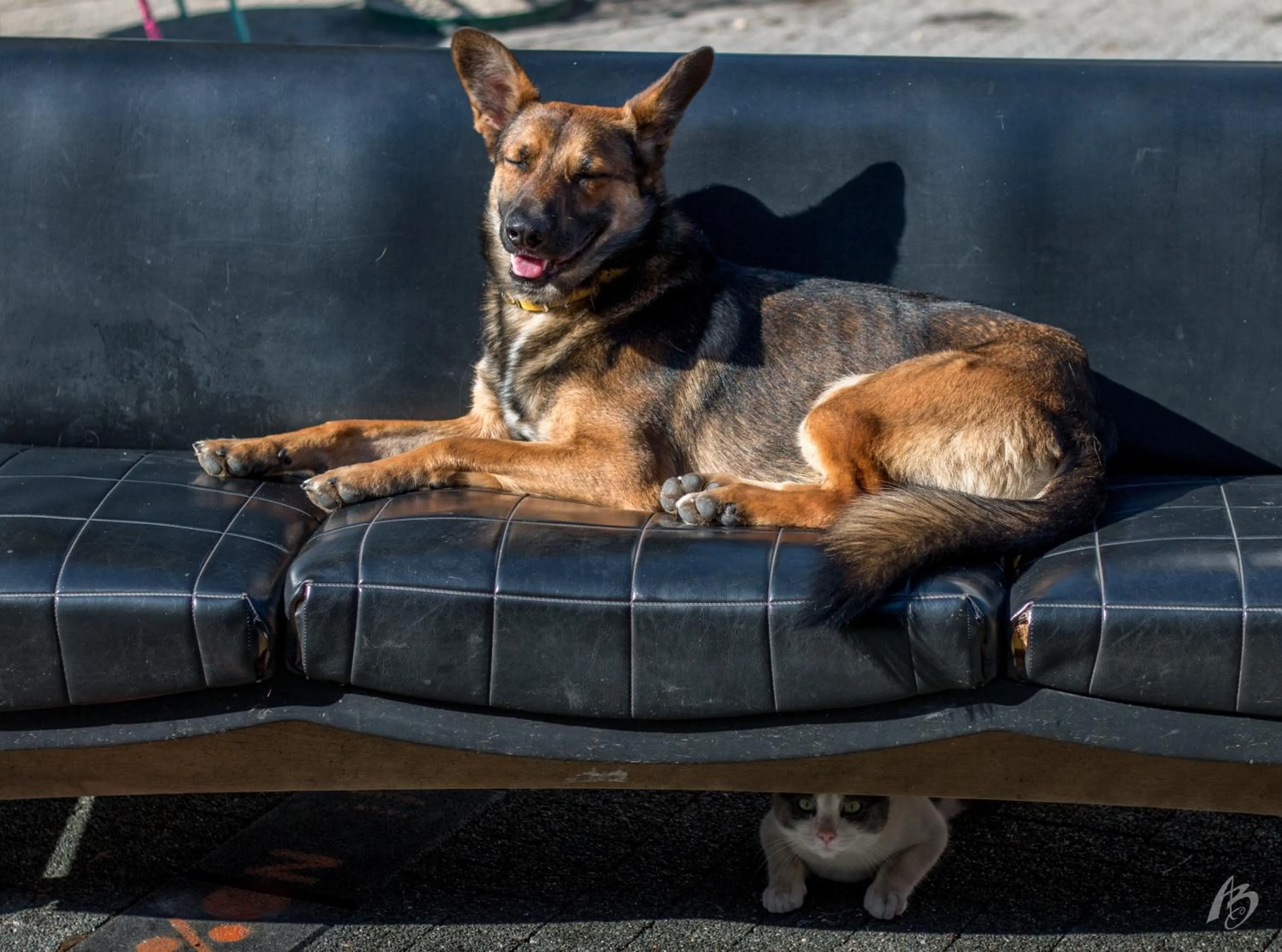 Balcony/Terrace in Hostel Fair and Square