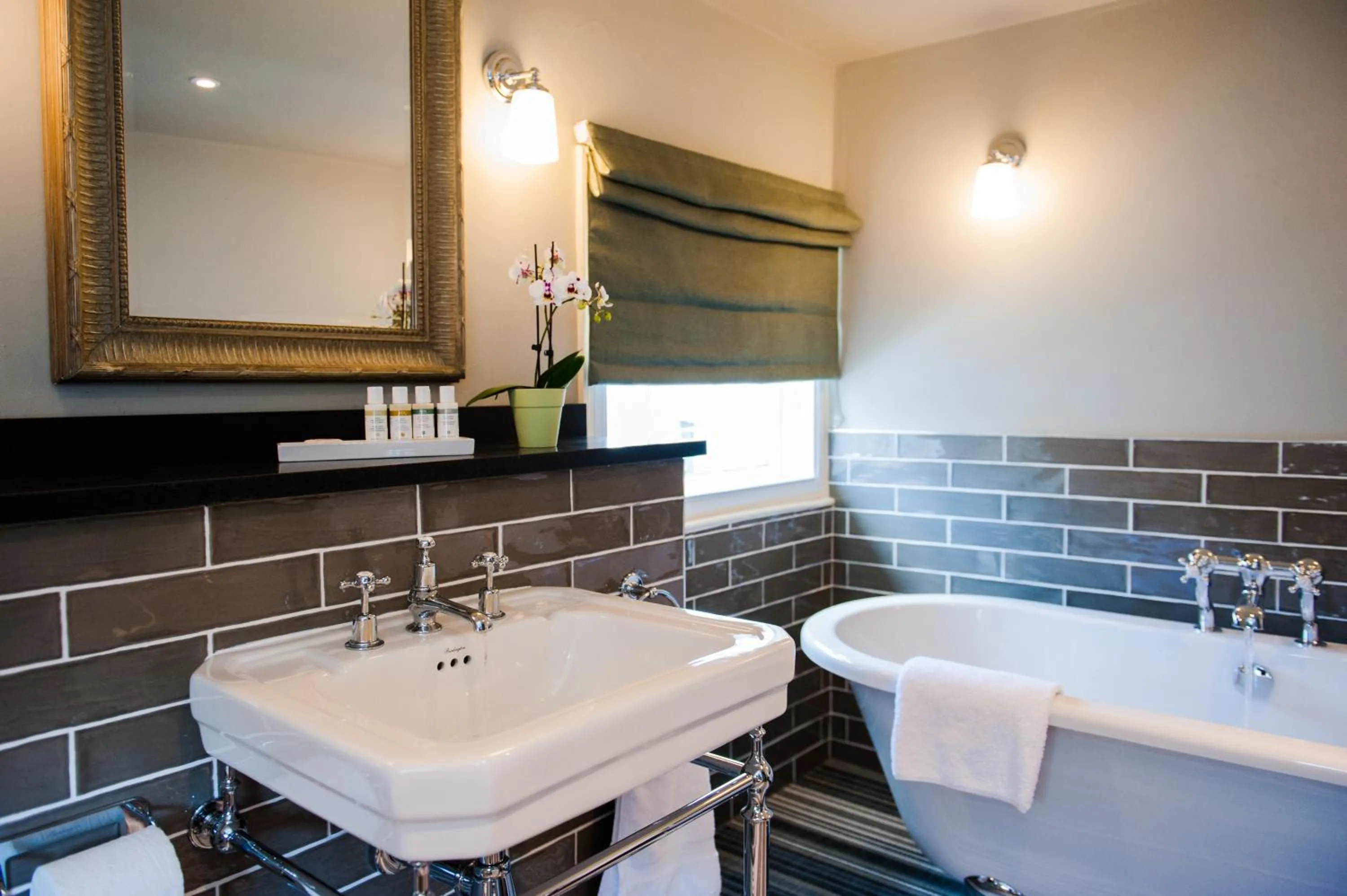 Toilet in The White Hart, Overton