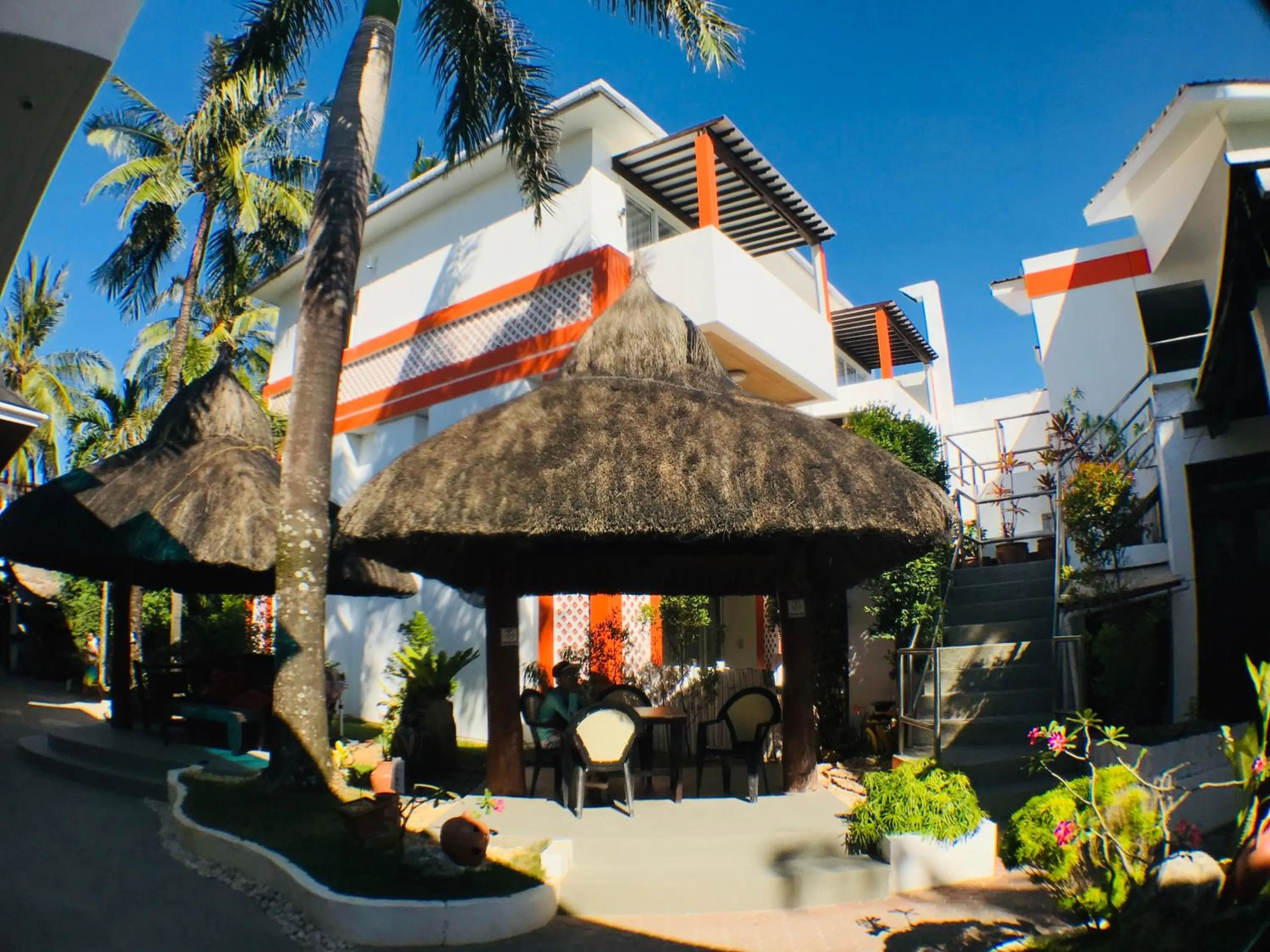 Bird's eye view in Calypso Beach and Dive Resort