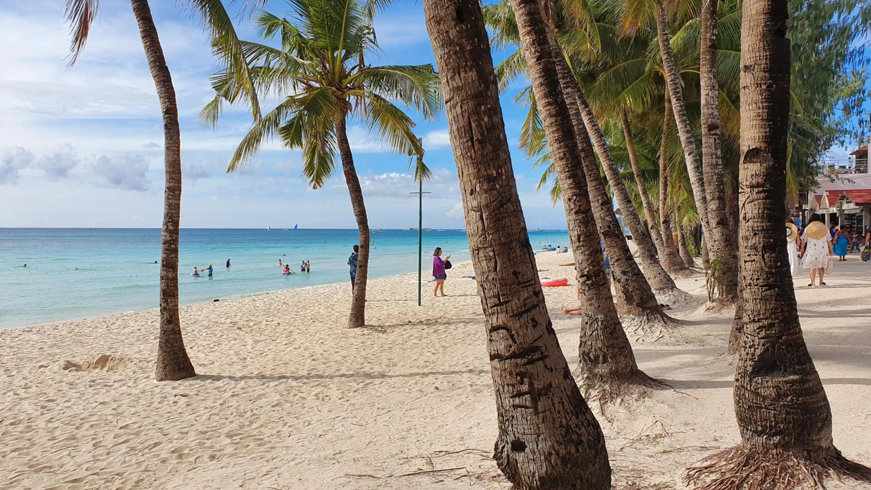 Beach in Calypso Beach and Dive Resort