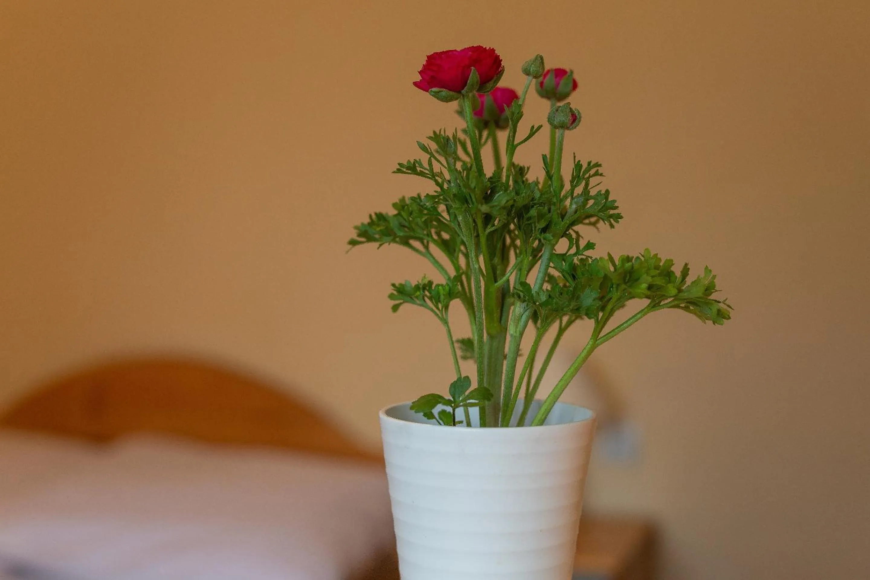 Decorative detail, Bed in Willa Świdrówka