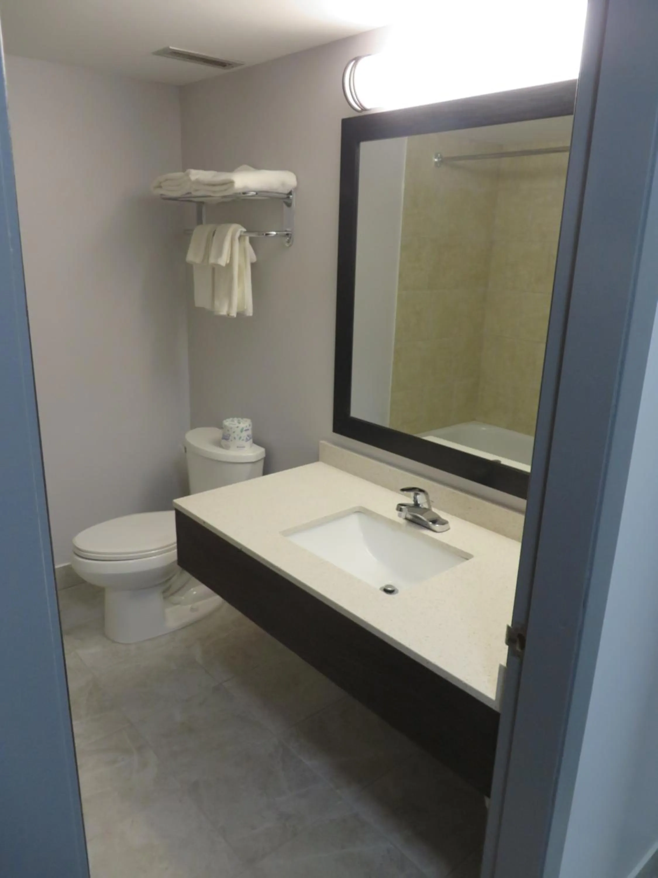 Bathroom in Travelodge by Wyndham Rosetown