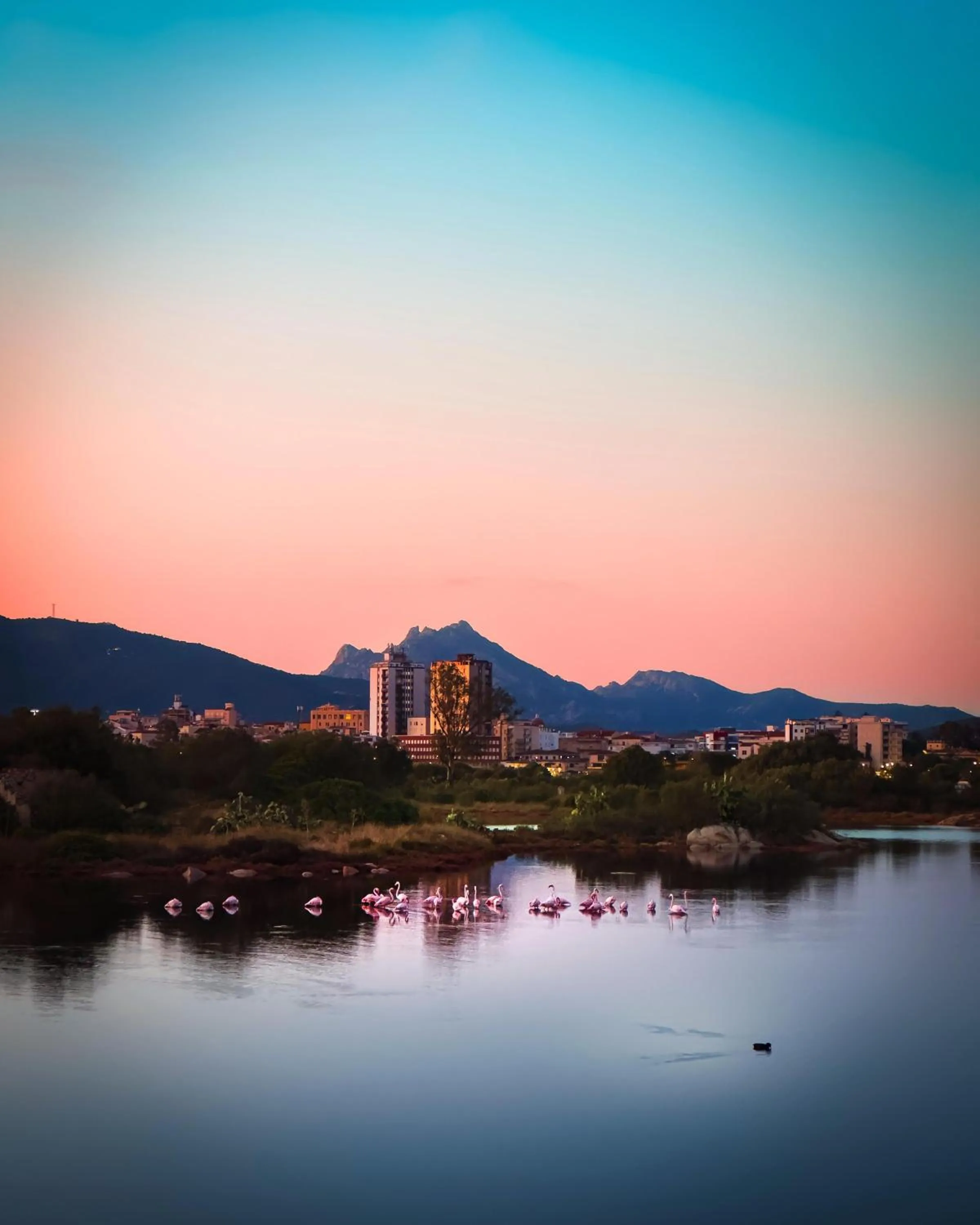 Nearby landmark in bbolbia - bed and breakfast