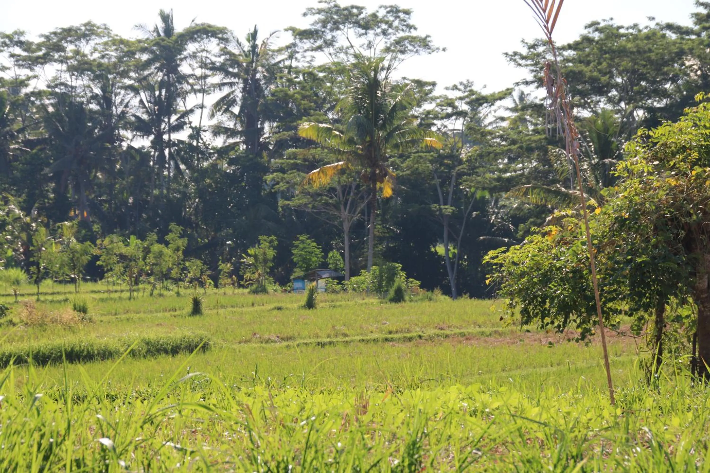 Nearby landmark in Pesantian Villa and Warung