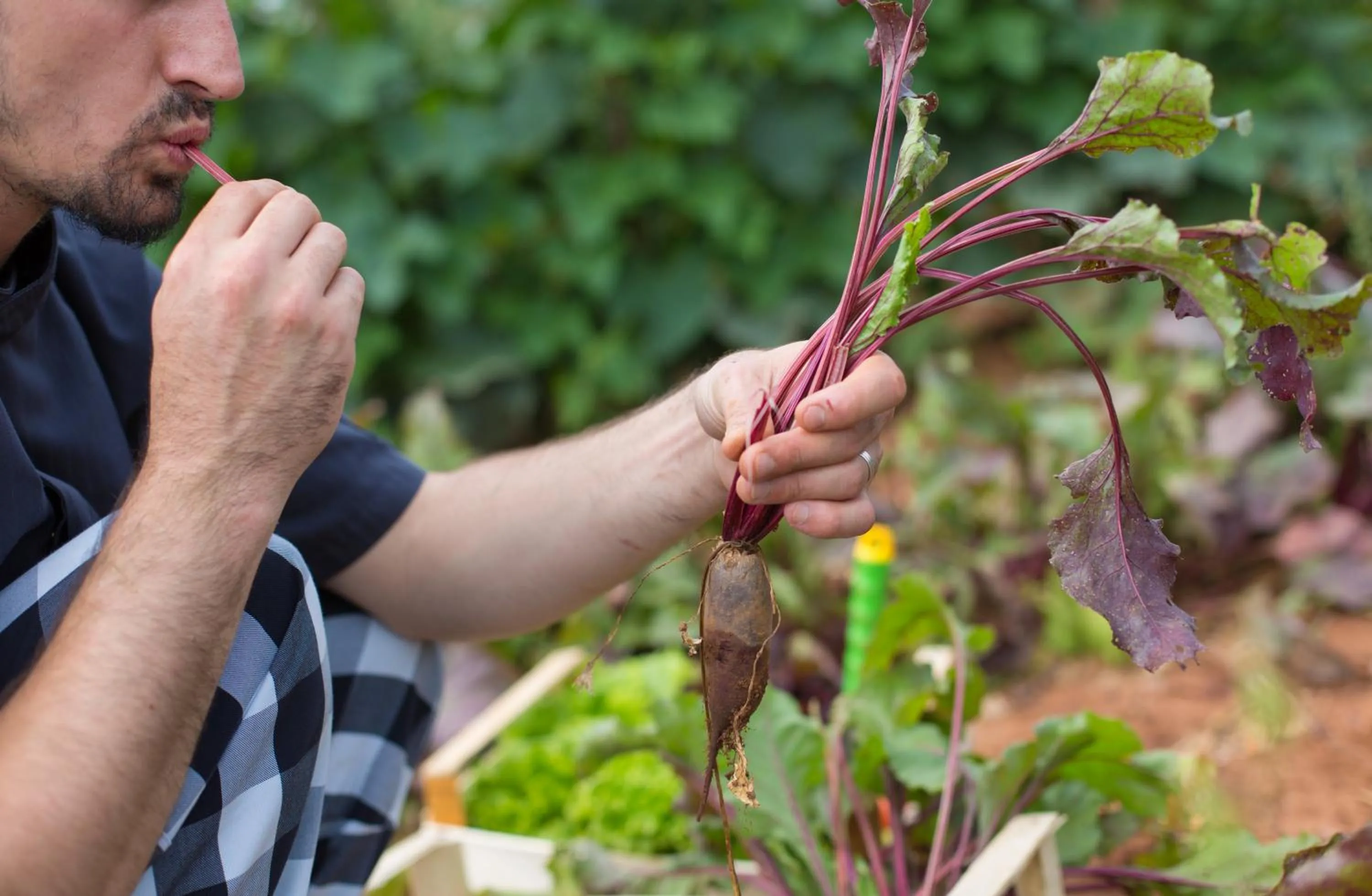 Meals in Hotel Villa Margaret