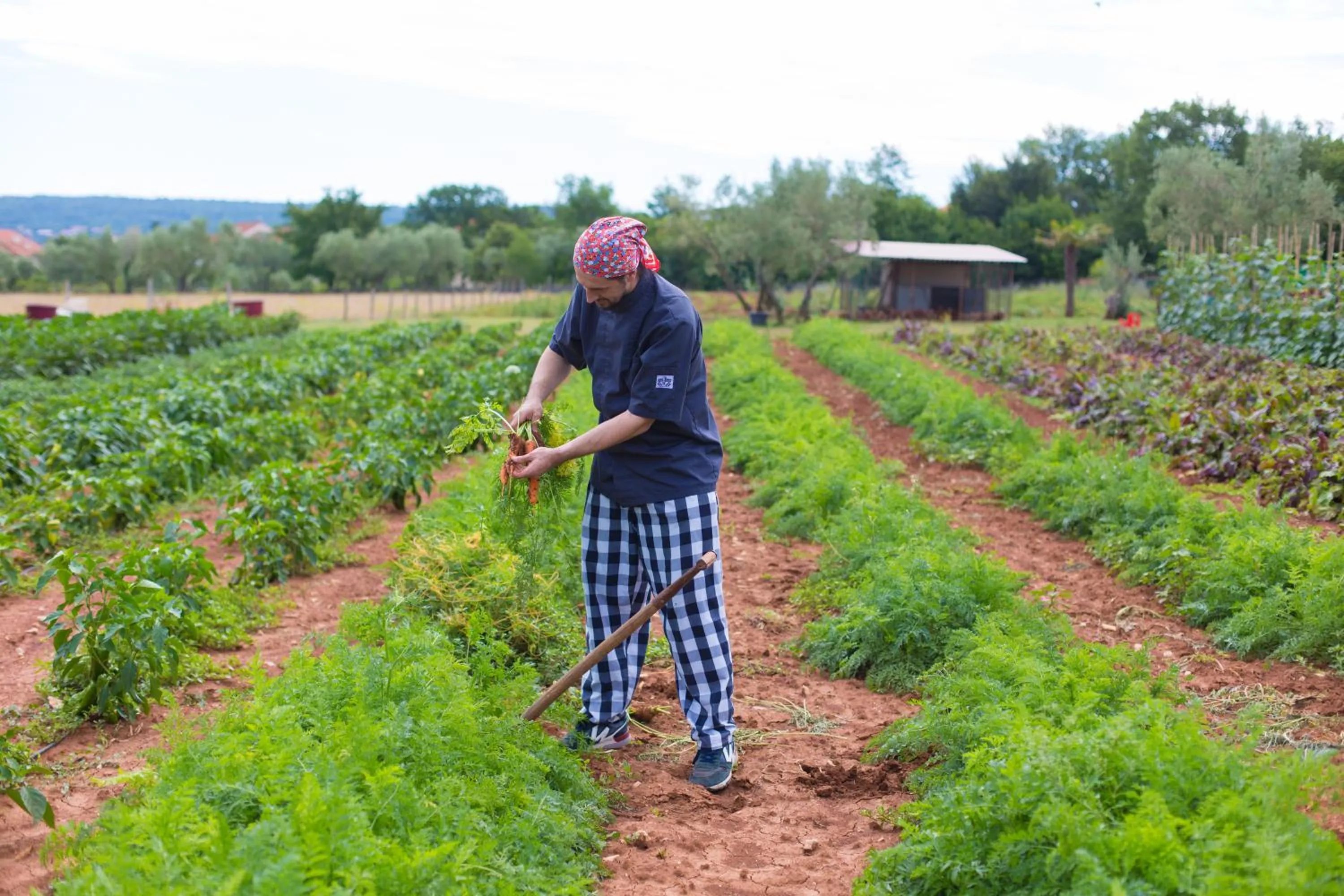 Meals in Hotel Villa Margaret