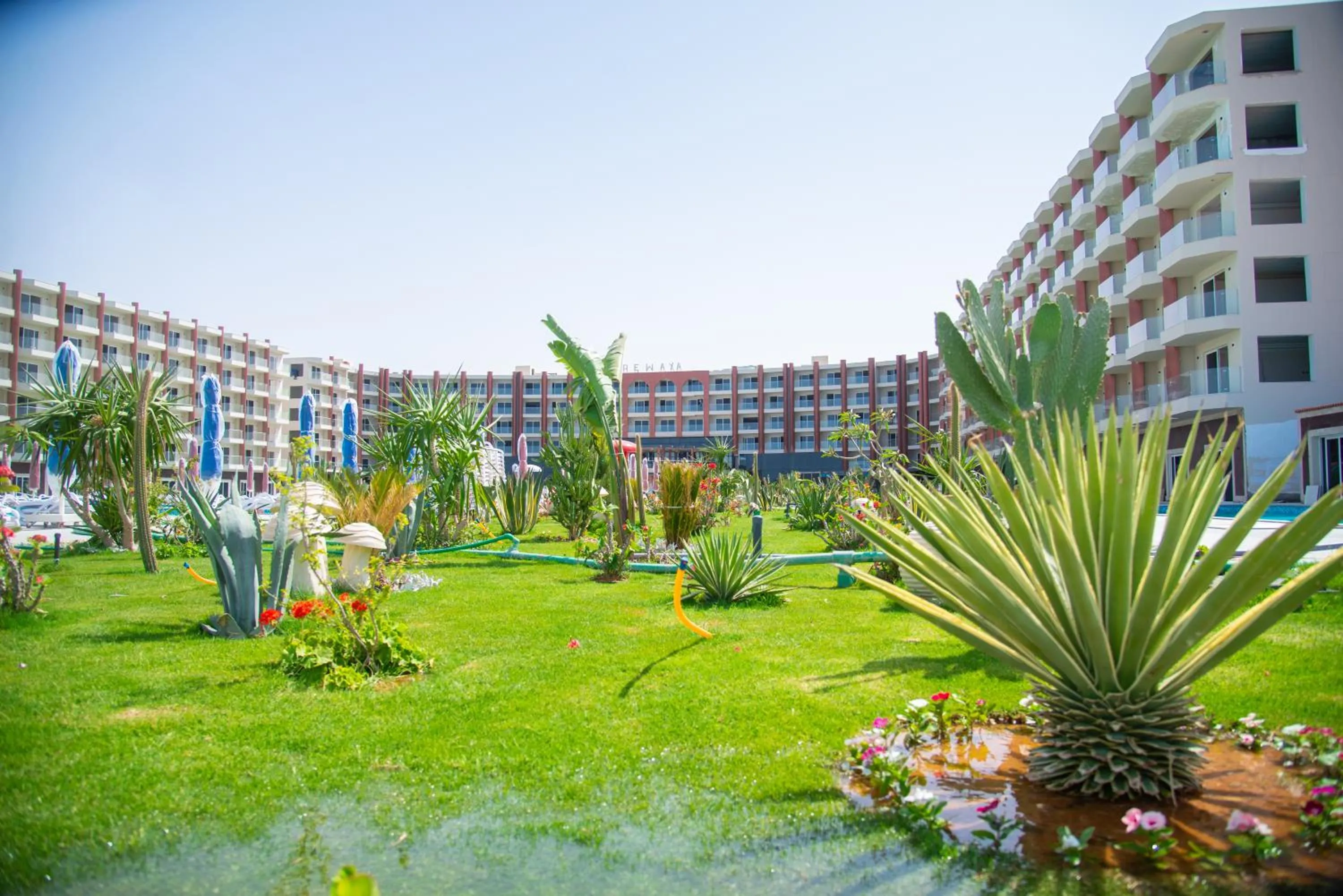 Natural landscape in Rewaya Majestic Resort