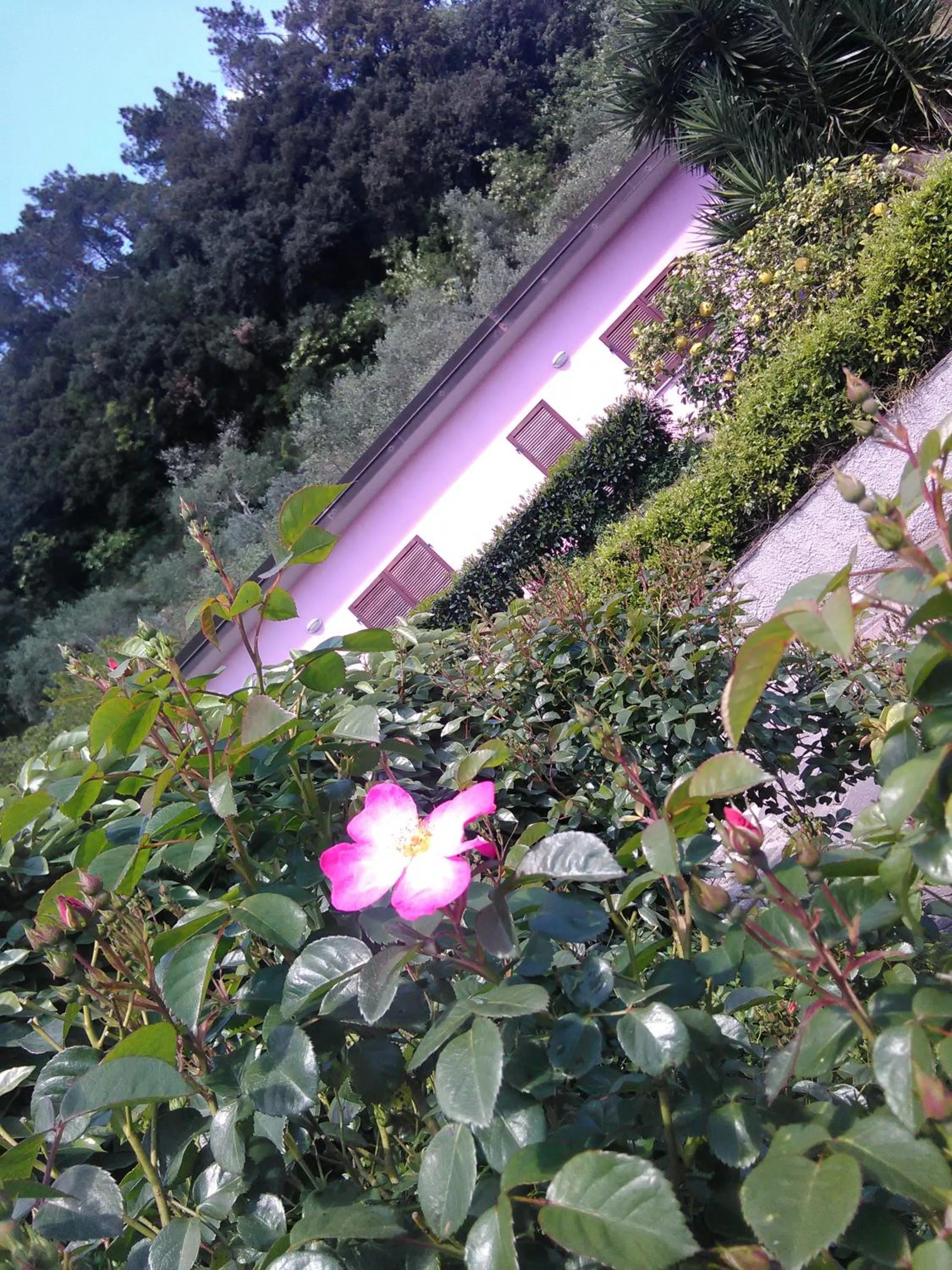 Facade/entrance in Villino Isò