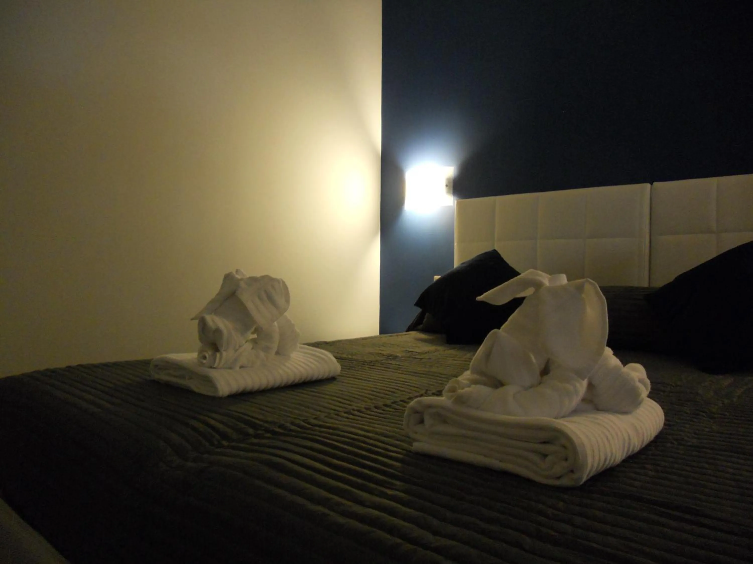 Other in Pianeta Roma