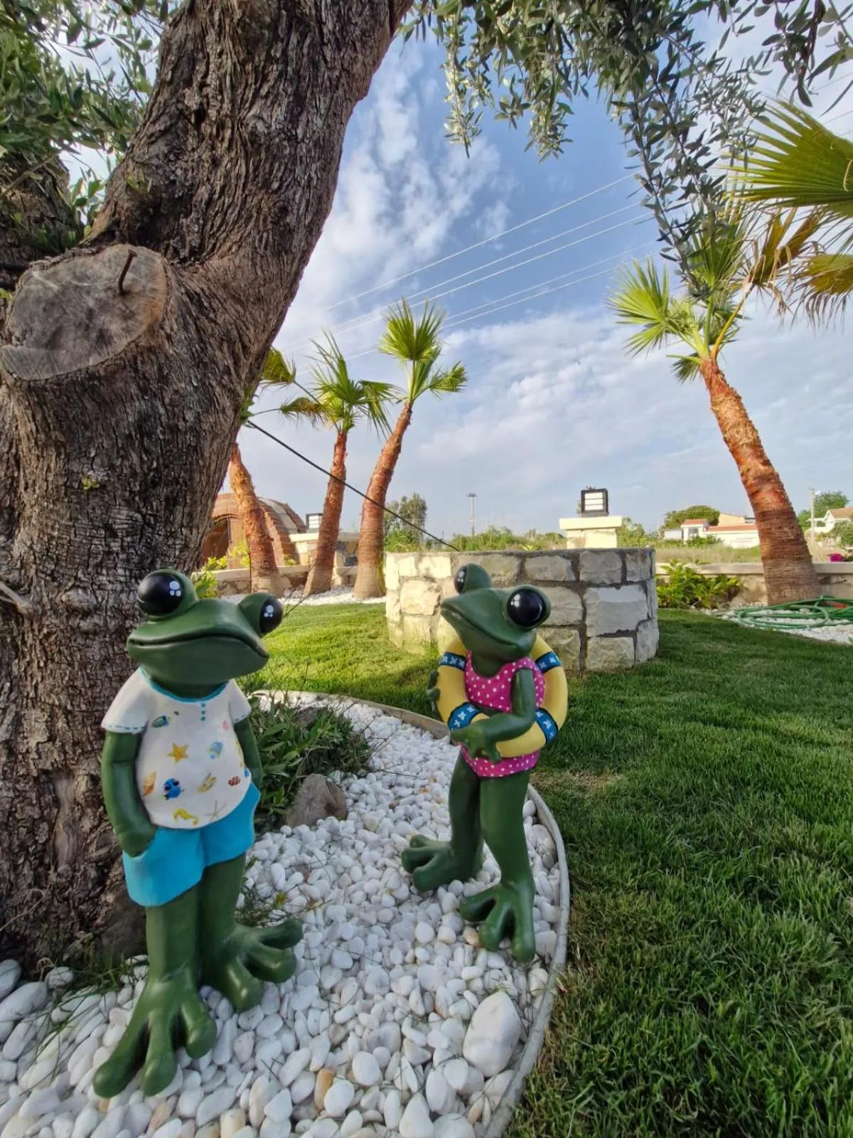 Spring in Velder House Urla