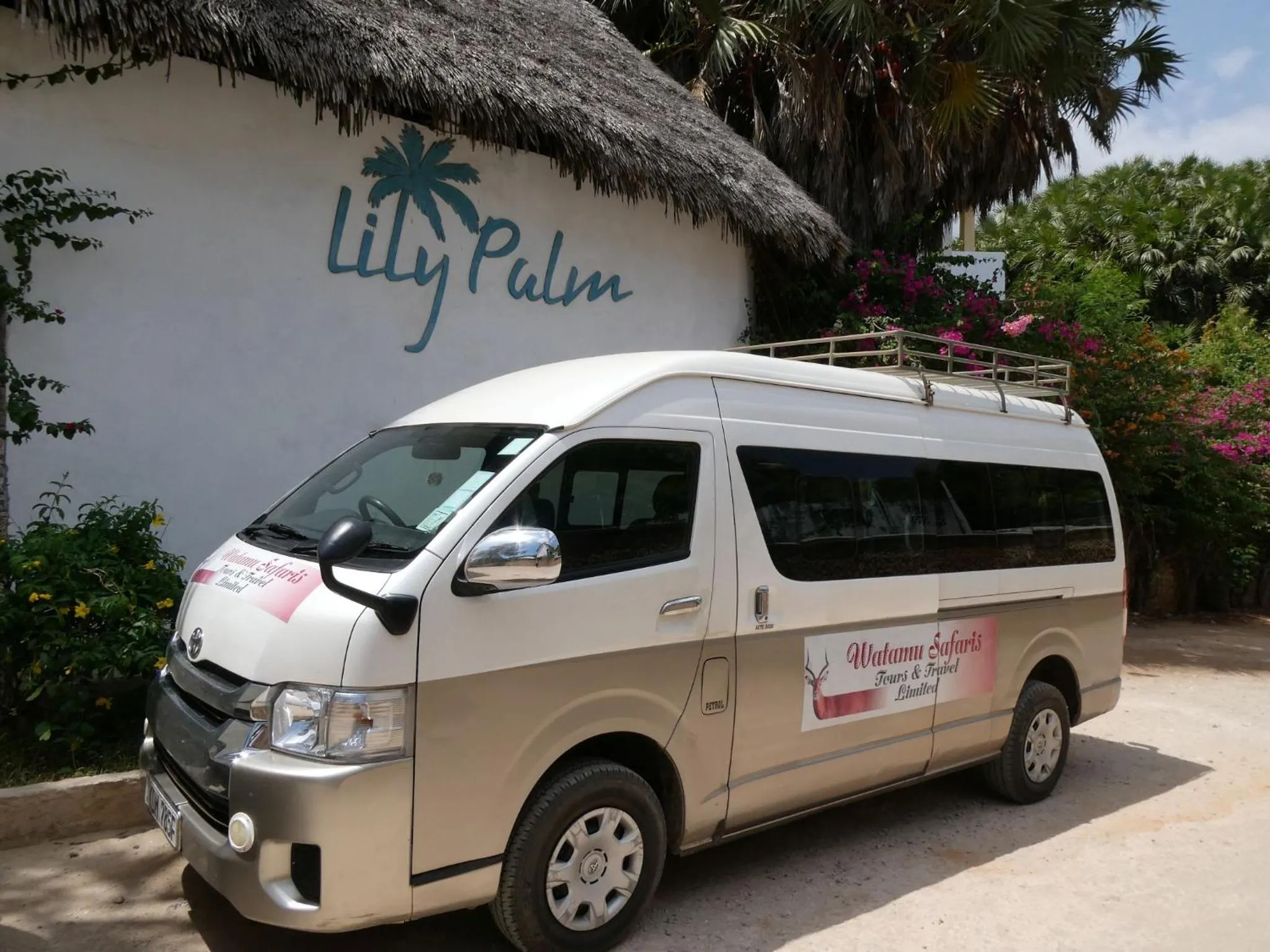 shuttle in Lily Palm Resort