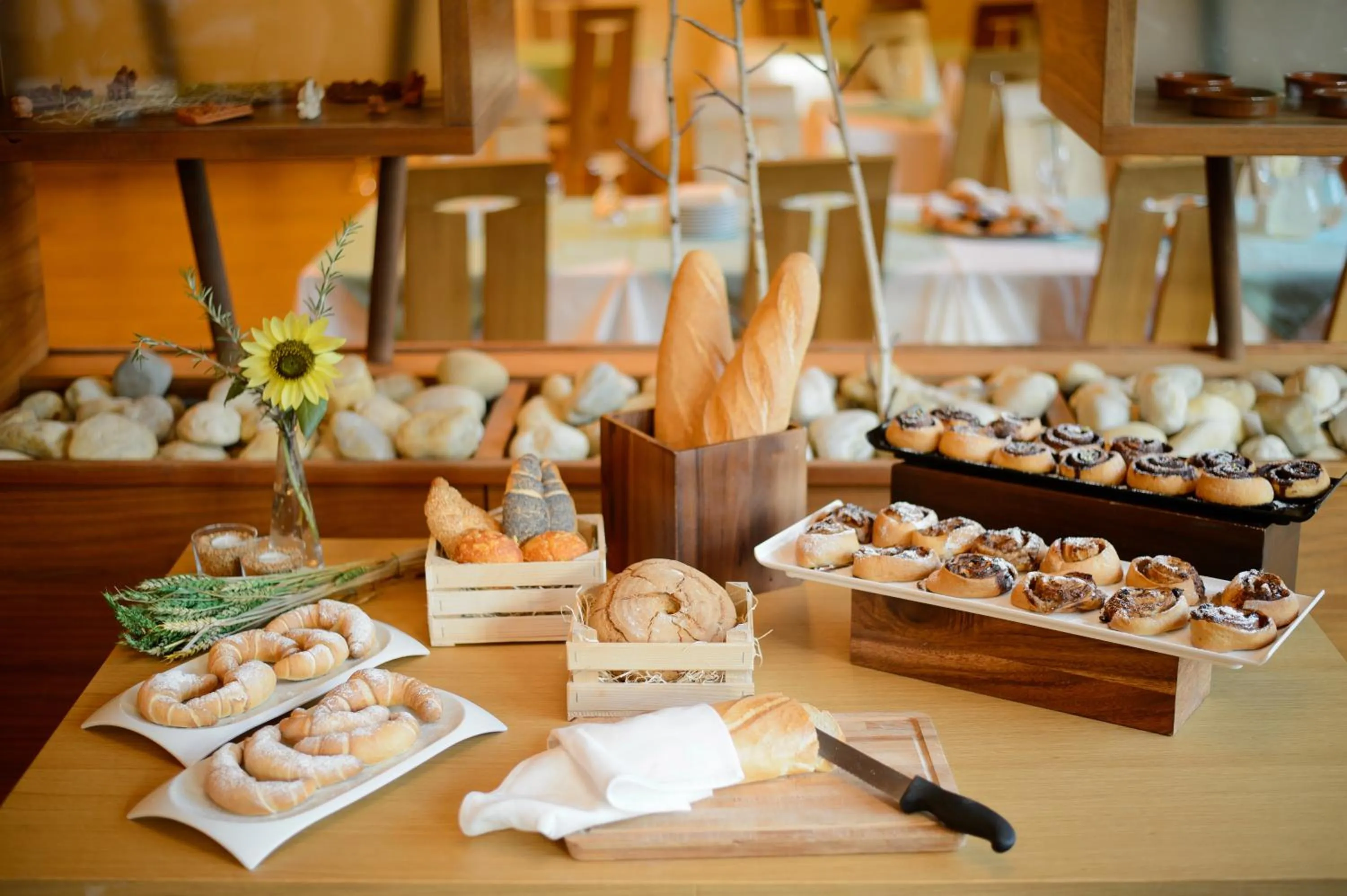 Buffet breakfast in HOTEL Bioterme Mala Nedelja