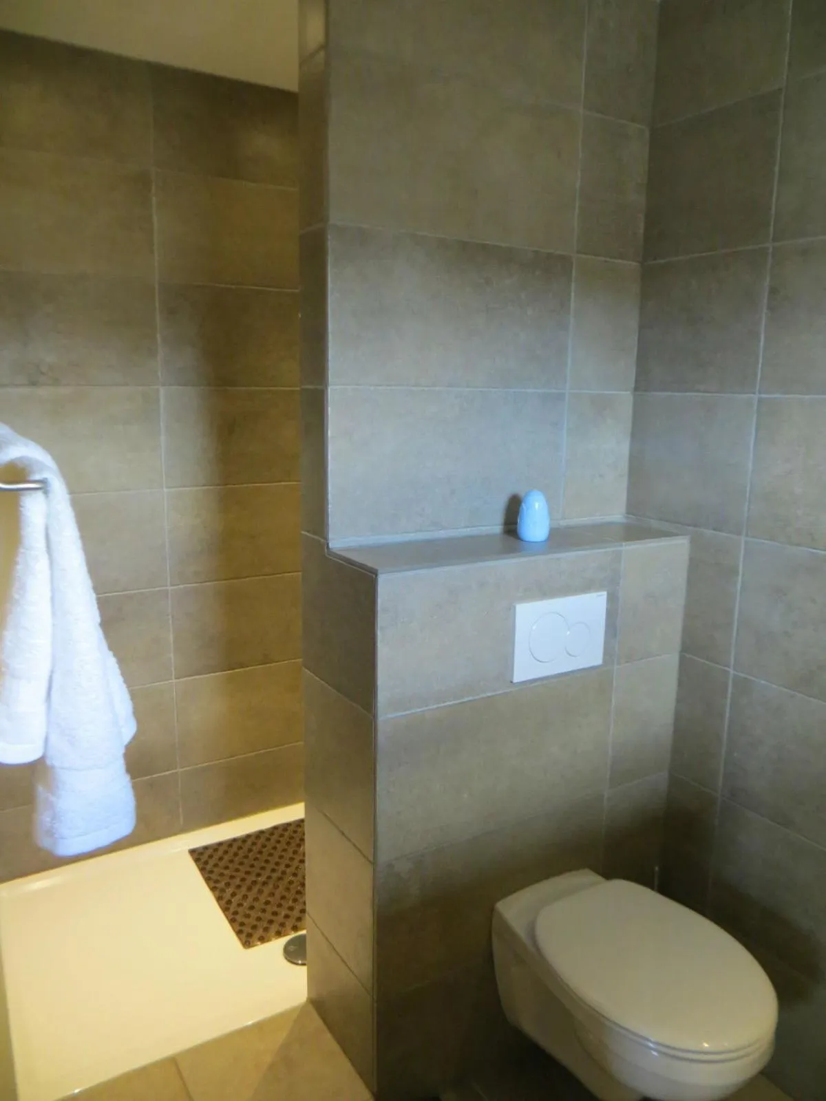 Shower in Bed and breakfast Mentari