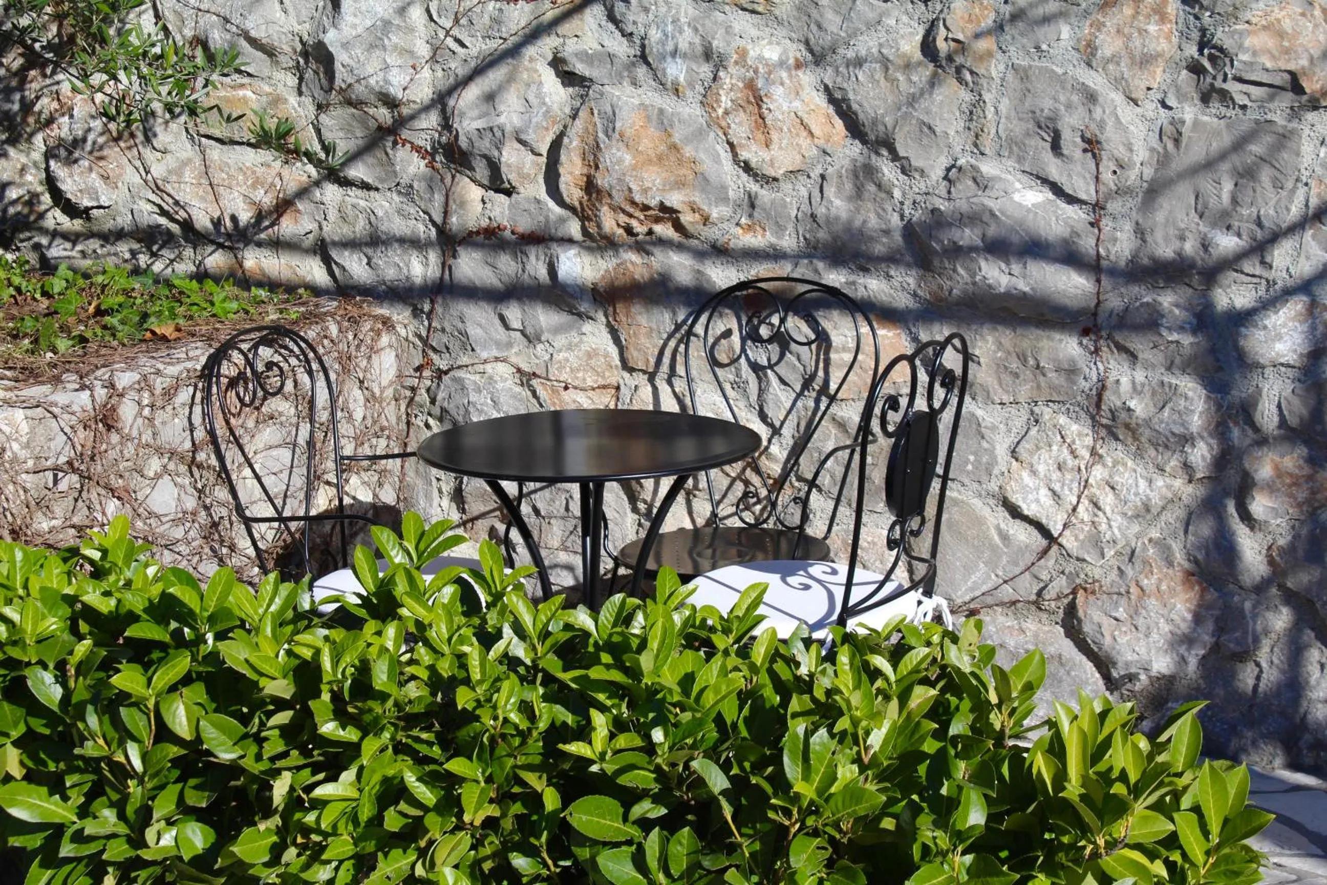 Garden in Hotel Opera Jaz