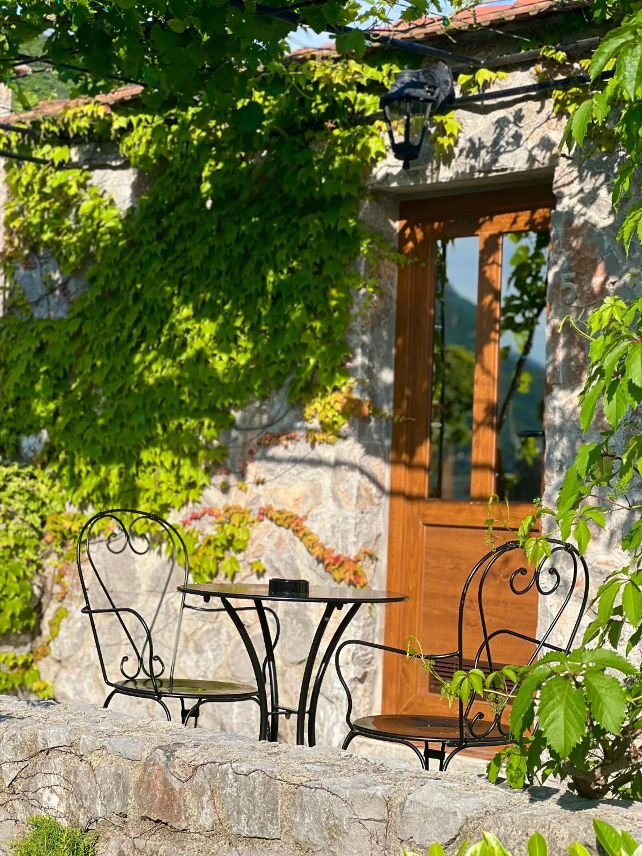 Garden in Hotel Opera Jaz