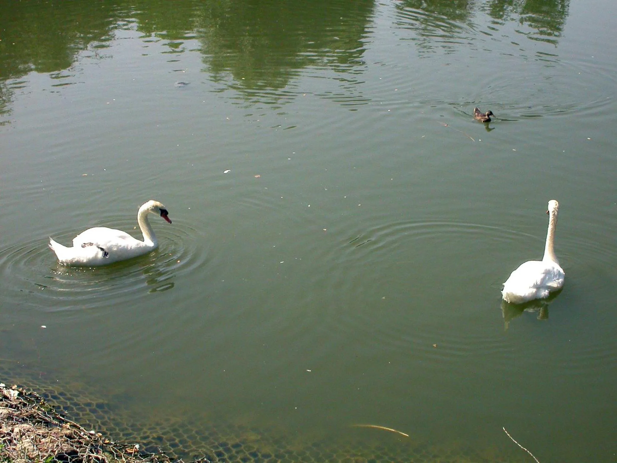 Nearby landmark in B&B Vintage