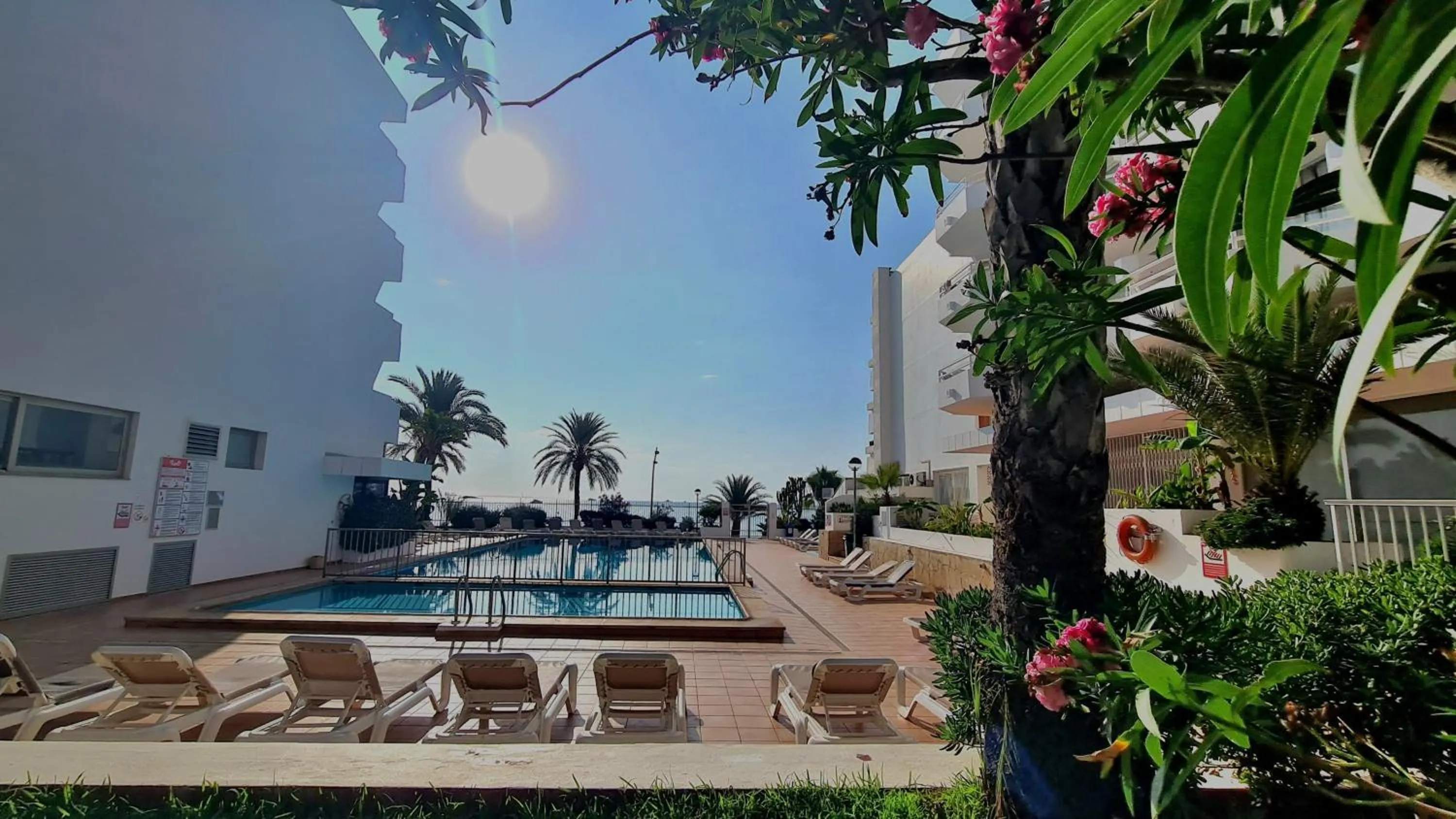 Swimming pool in Apartamentos Llobet Ibiza