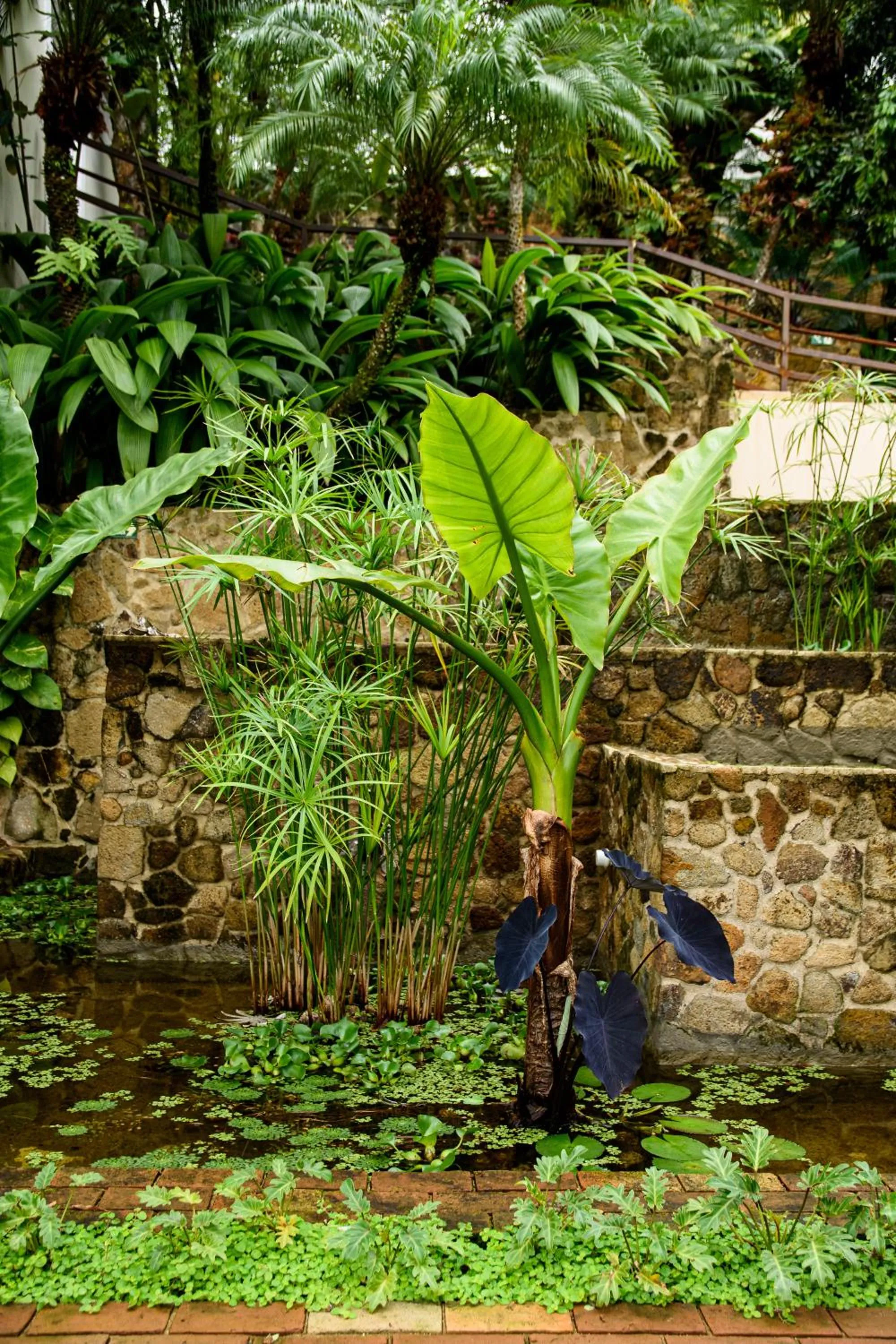 Garden in TW Guaimbê Exclusive Suítes