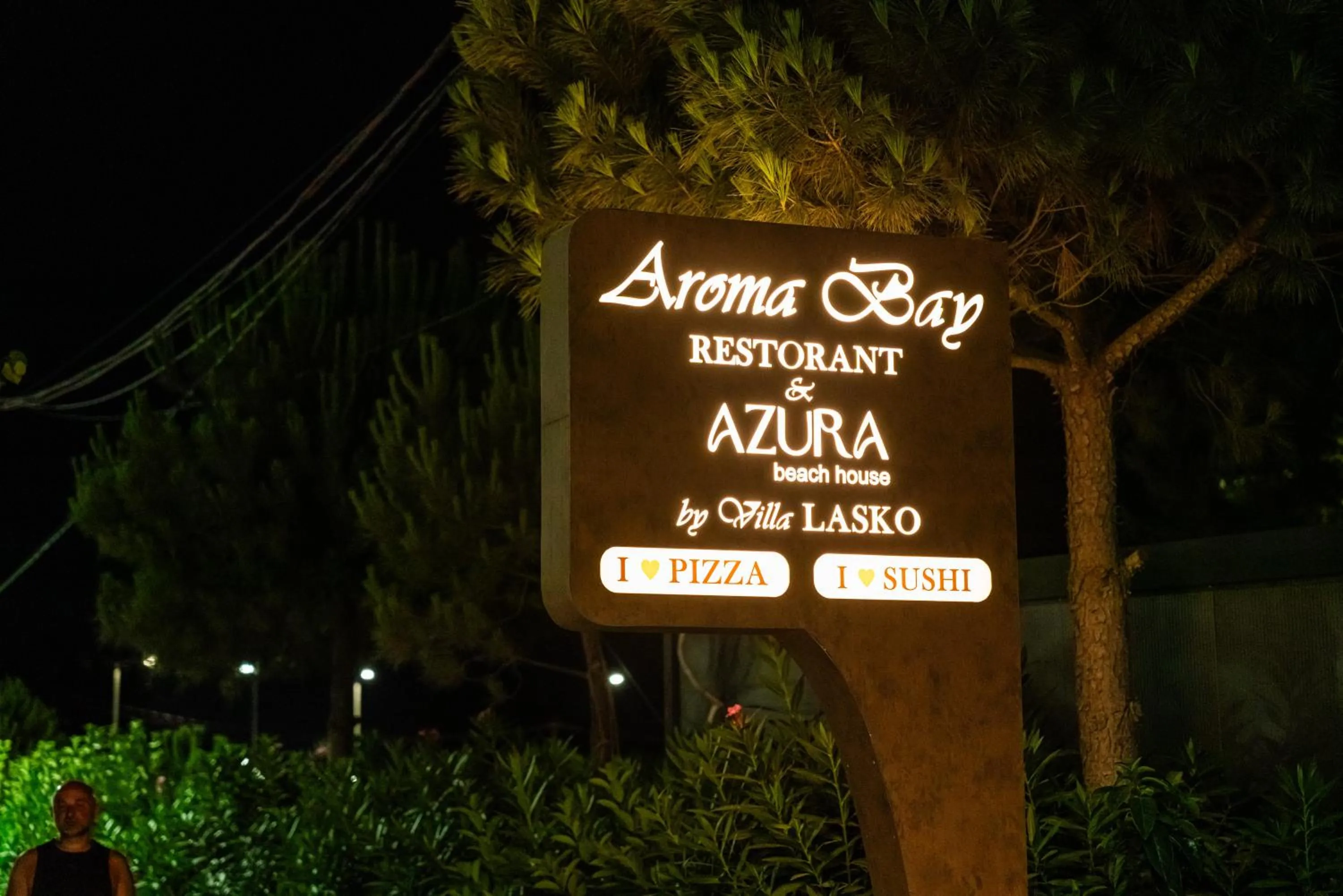 Night in Vila Lasko Hotel