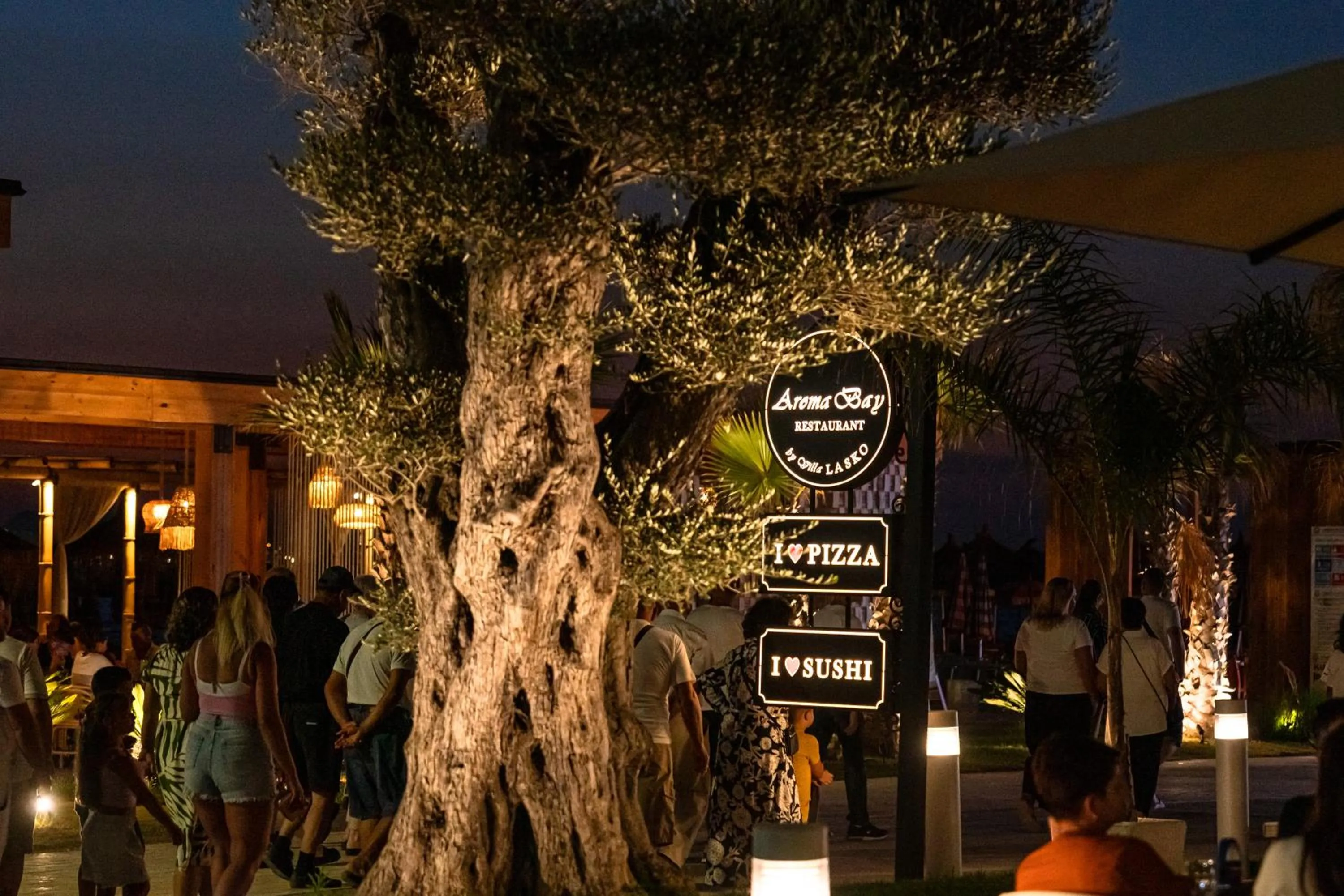 Night in Vila Lasko Hotel