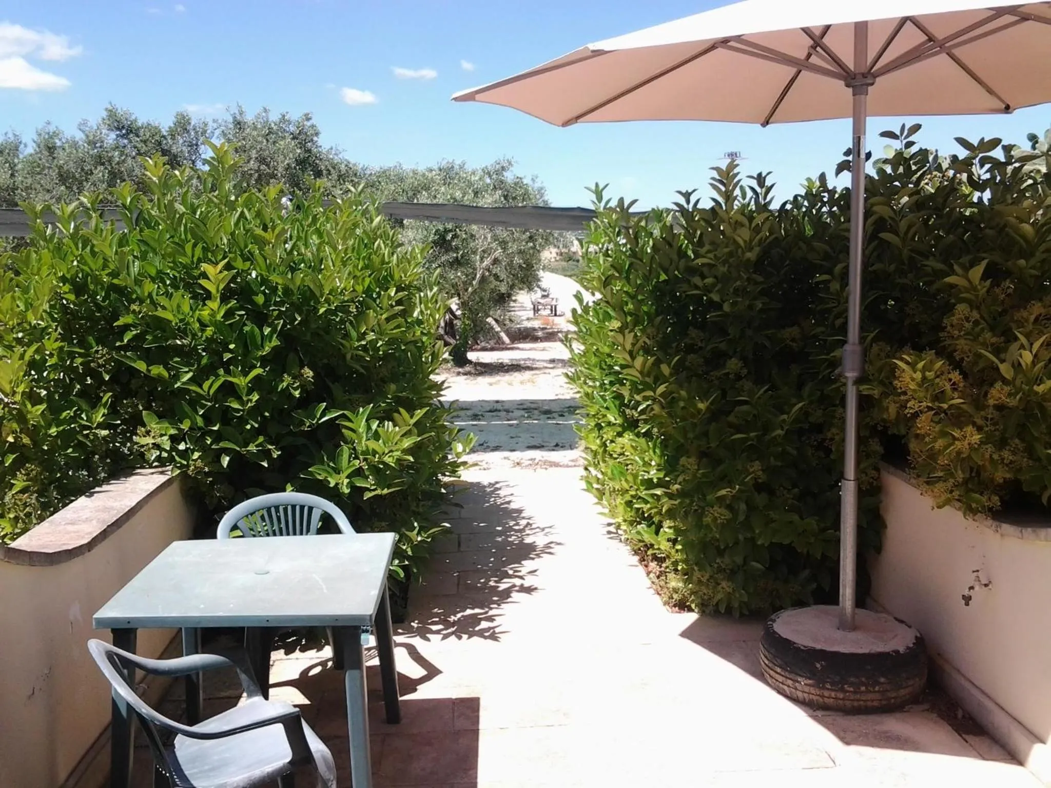 Patio in B&B Alicino