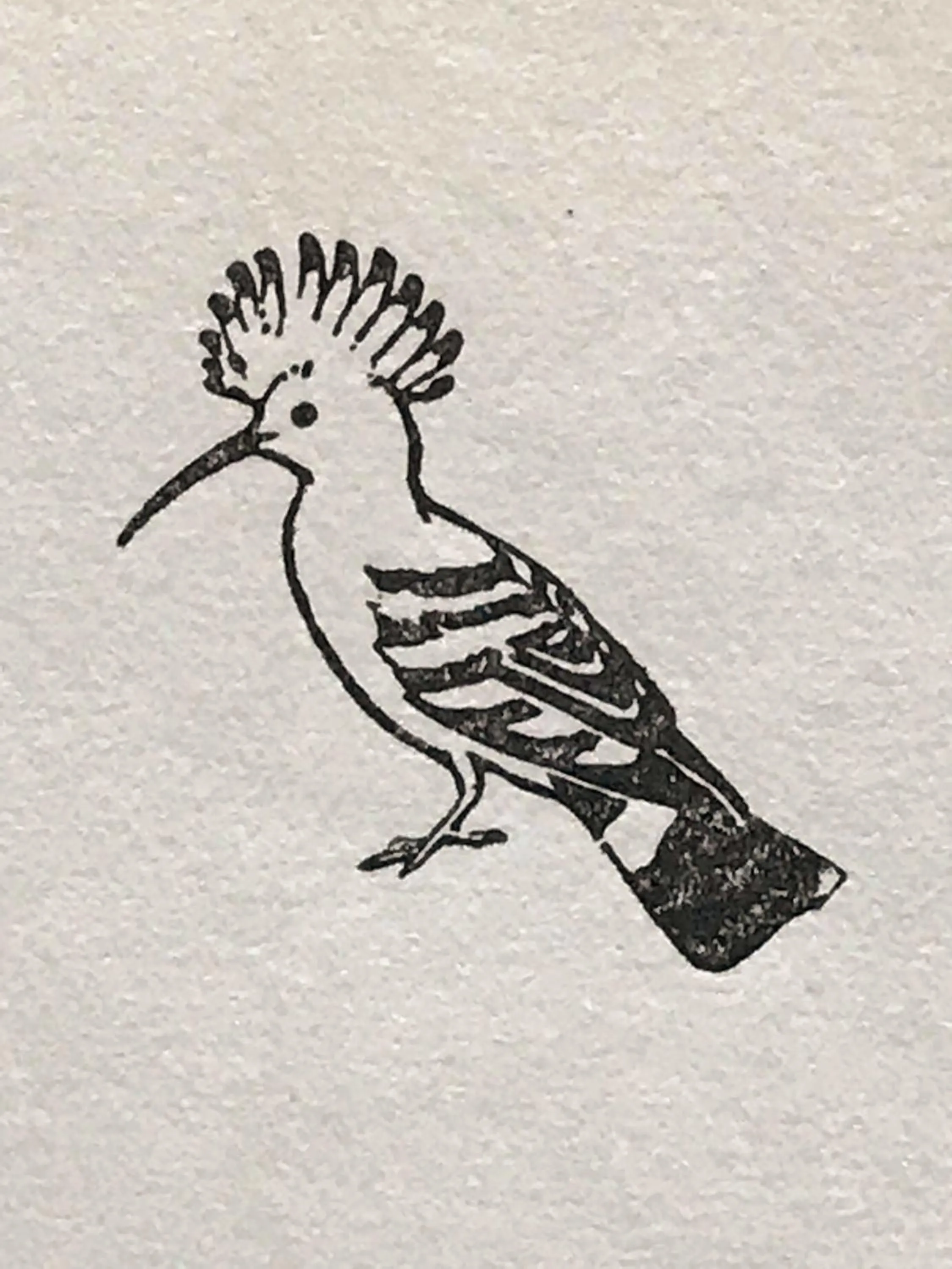 Property logo or sign in Quinta das Eirinhas-Jardim de Bonsai