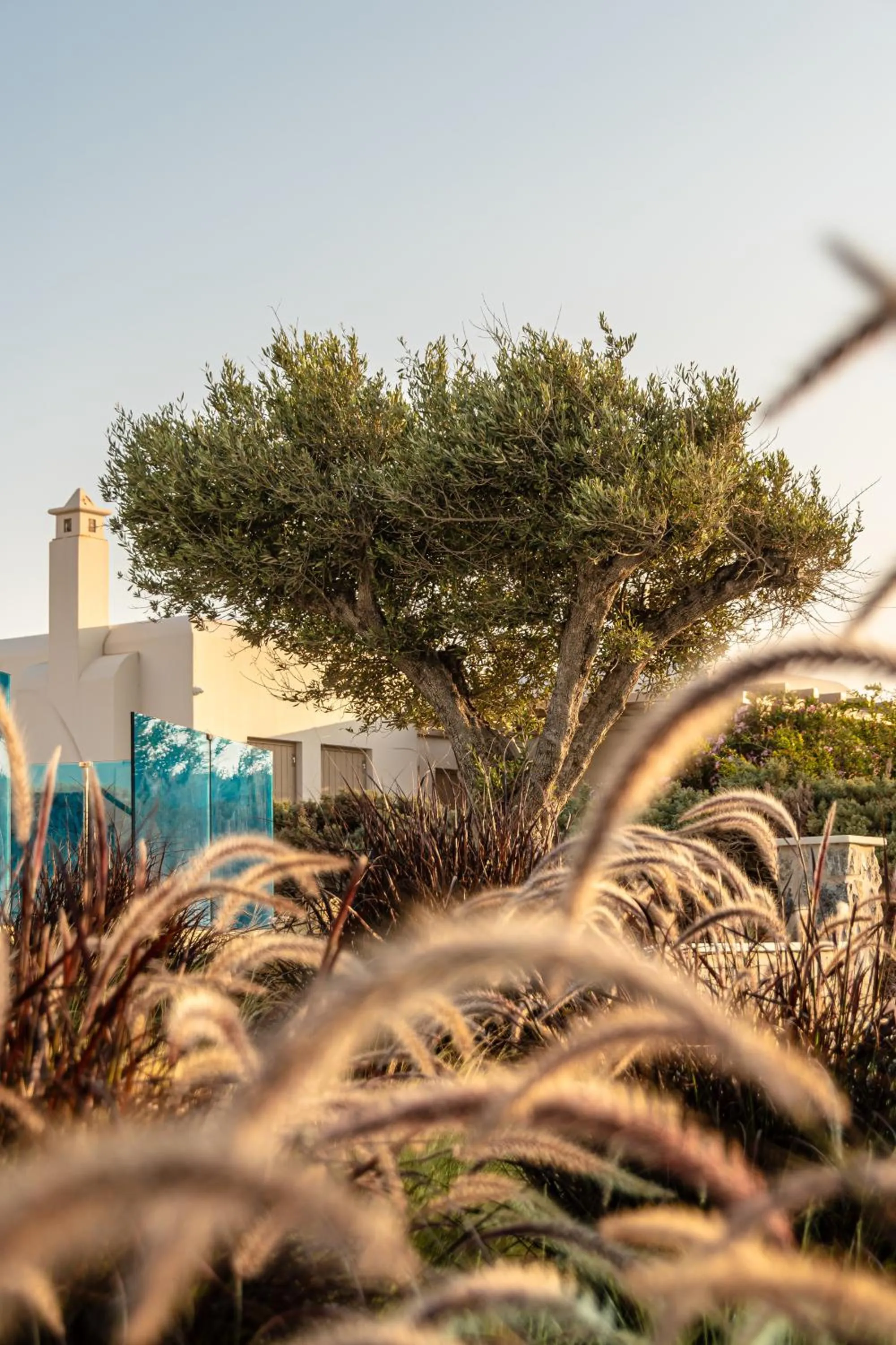 Property building in Niléa Island Living