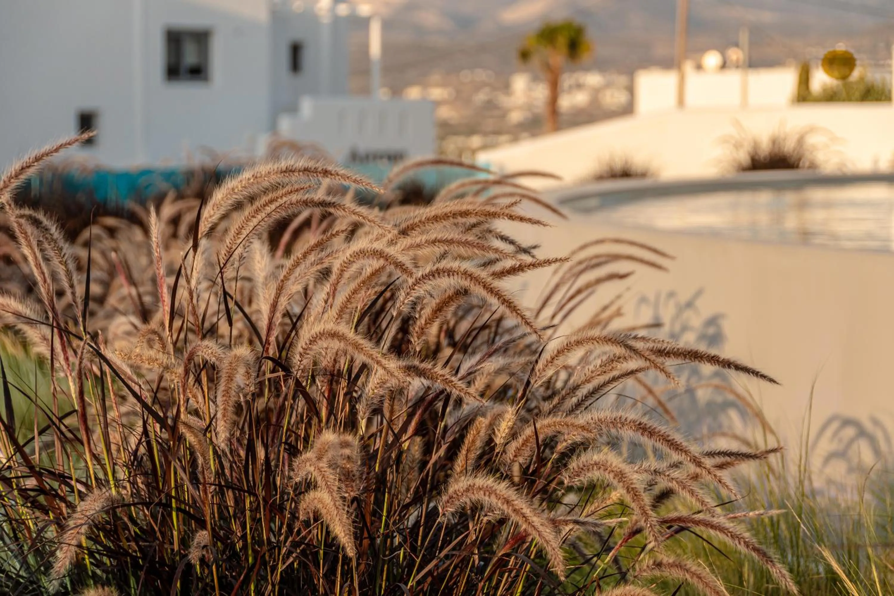 Property building in Niléa Island Living