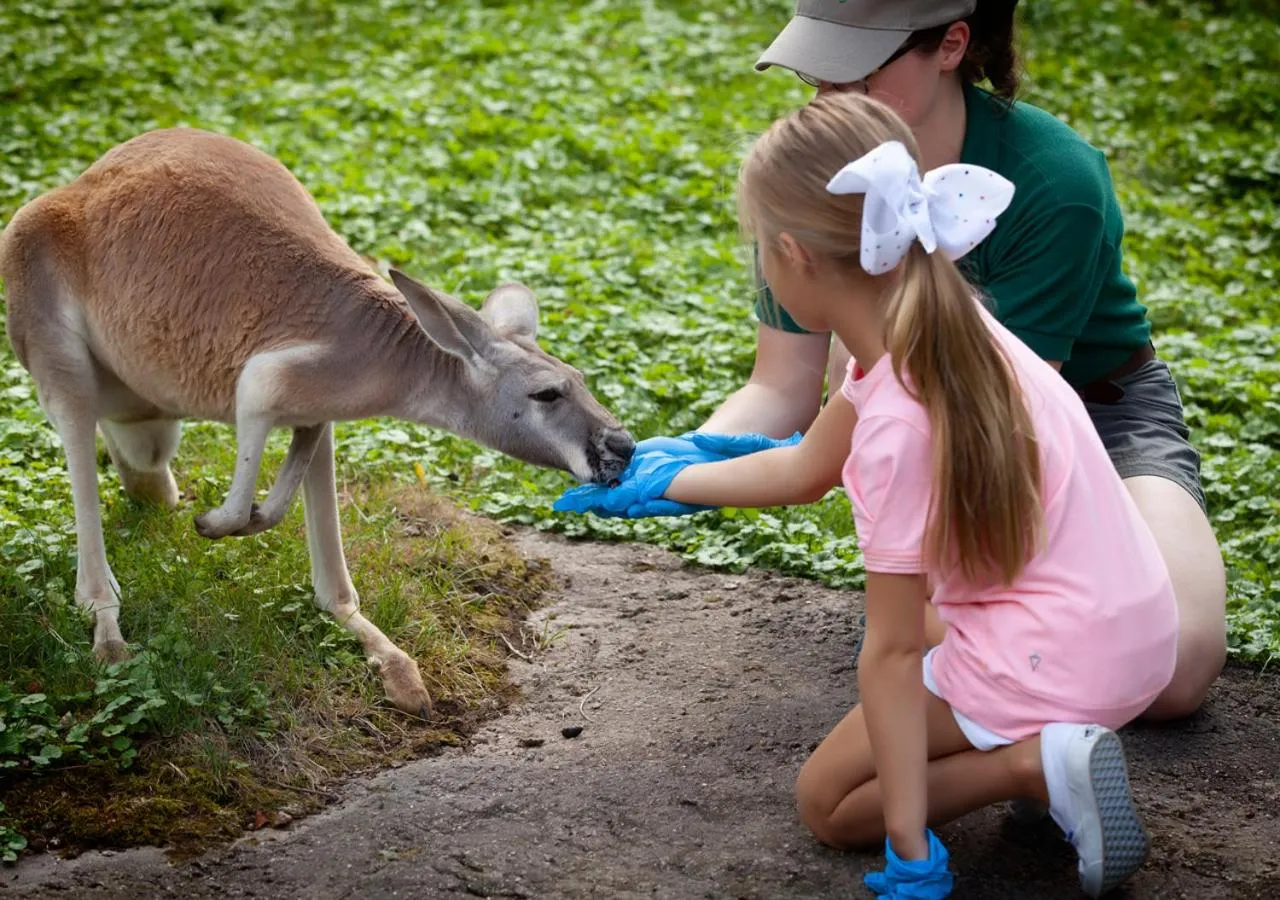 People in Oglebay Resort