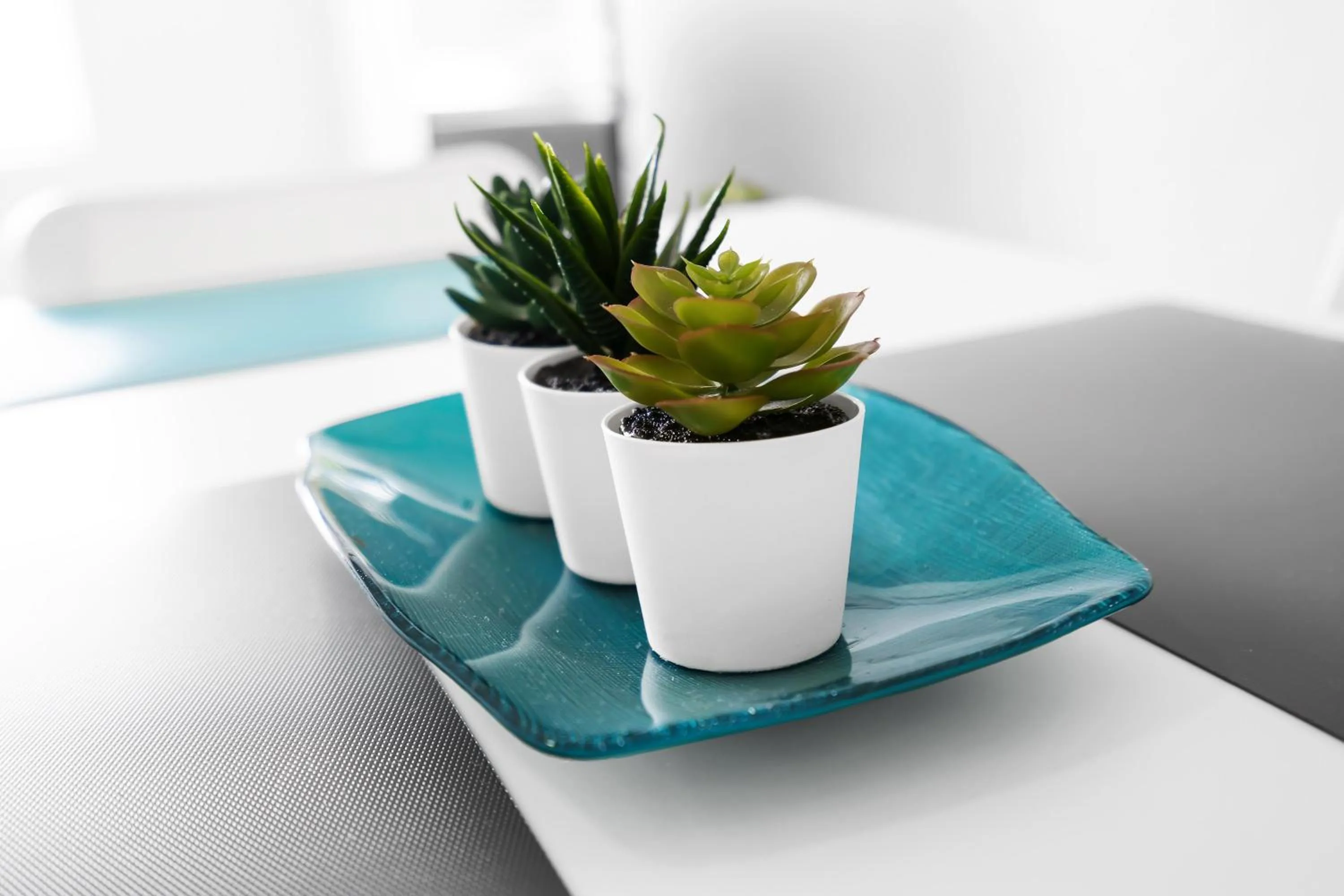 Decorative detail in The Blue House Fort Lauderdale Airport/Cruise