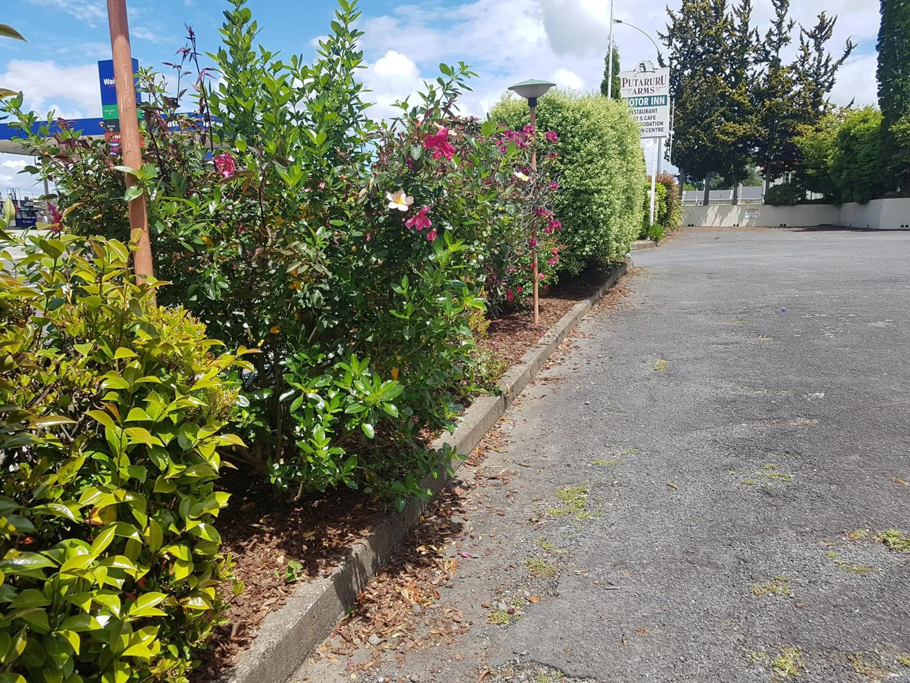 Garden in Putaruru Arms Motor Inn
