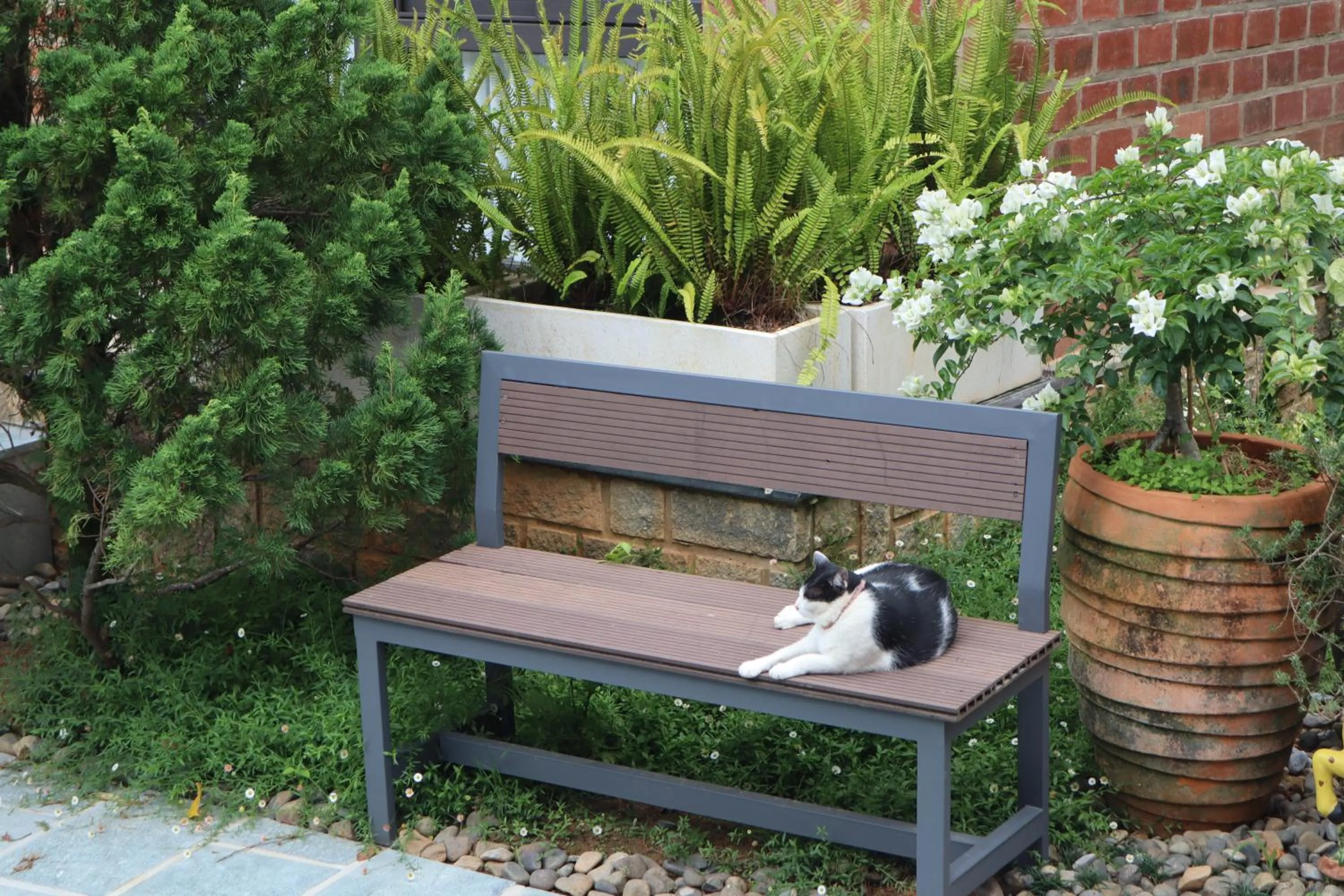 Spring in Hoang Loc Villa