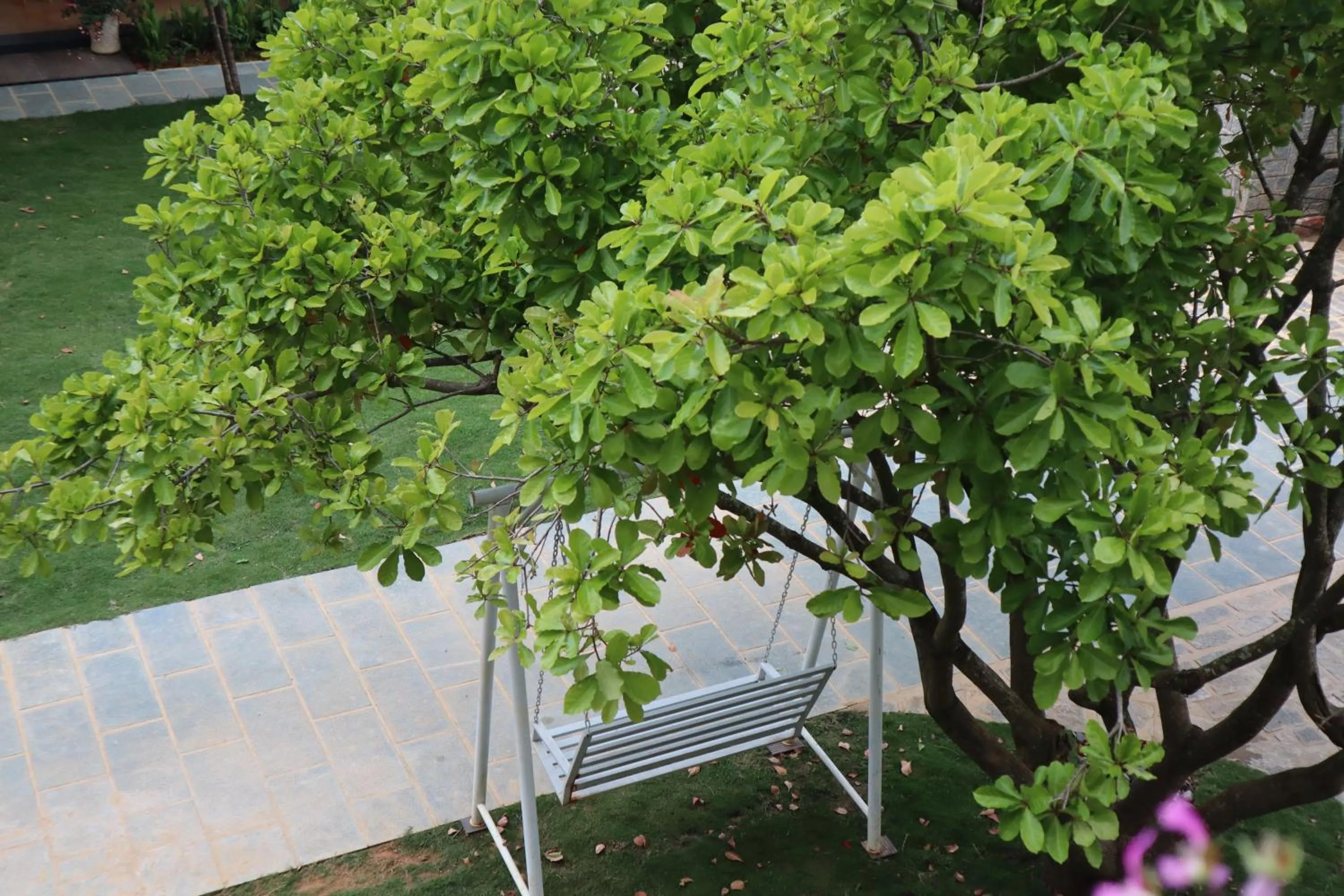 Seating area in Hoang Loc Villa