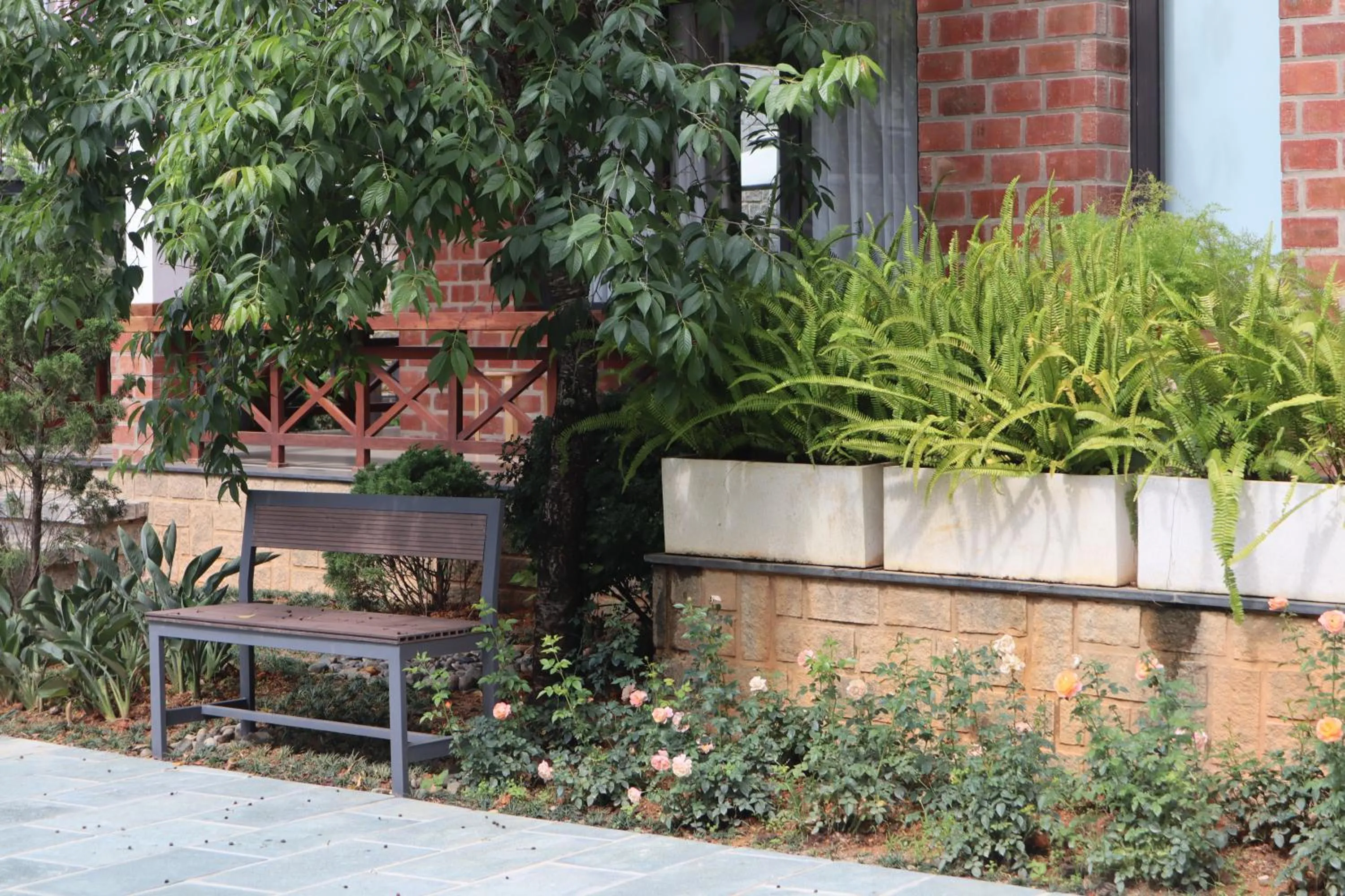 Spring in Hoang Loc Villa