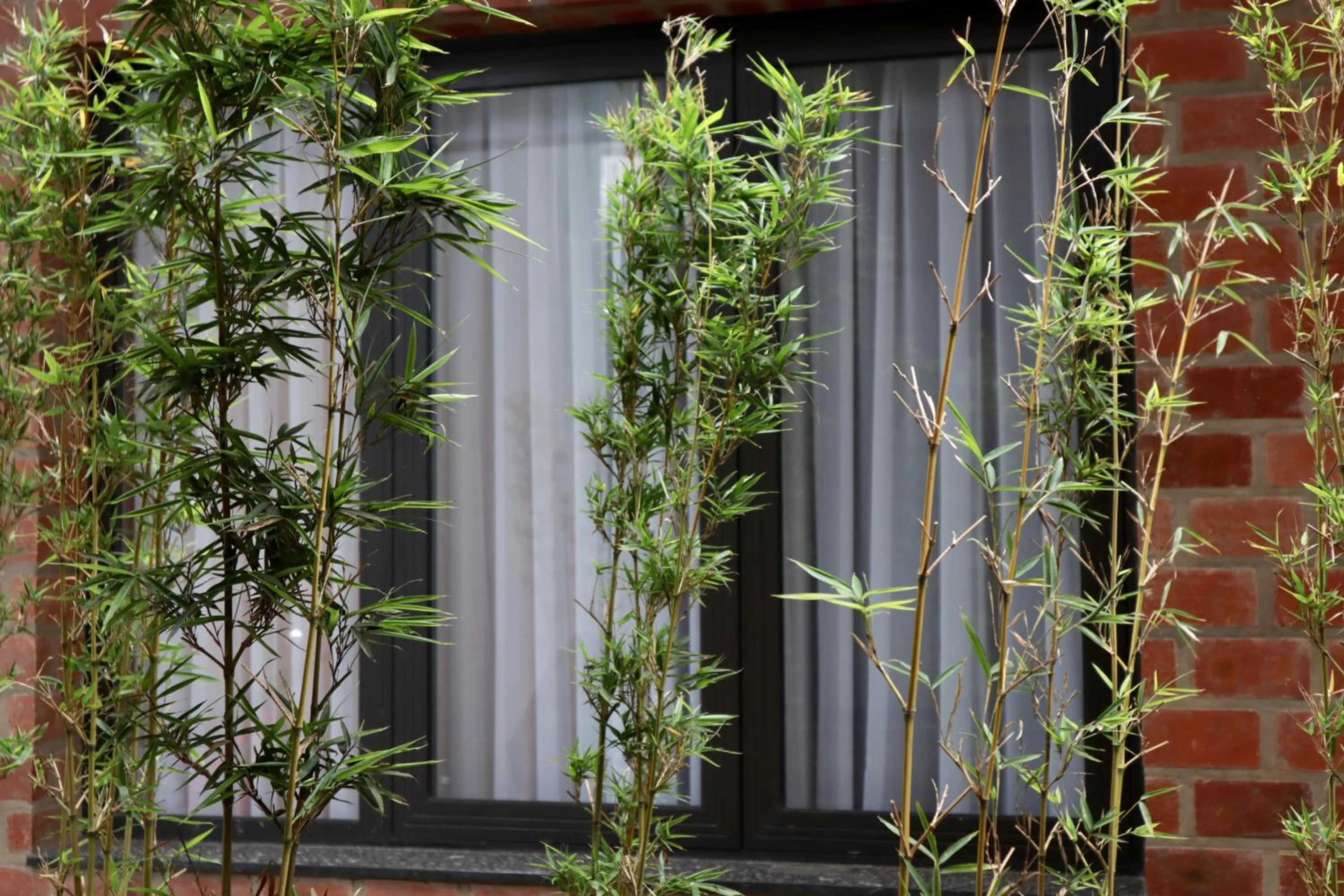 View (from property/room) in Hoang Loc Villa