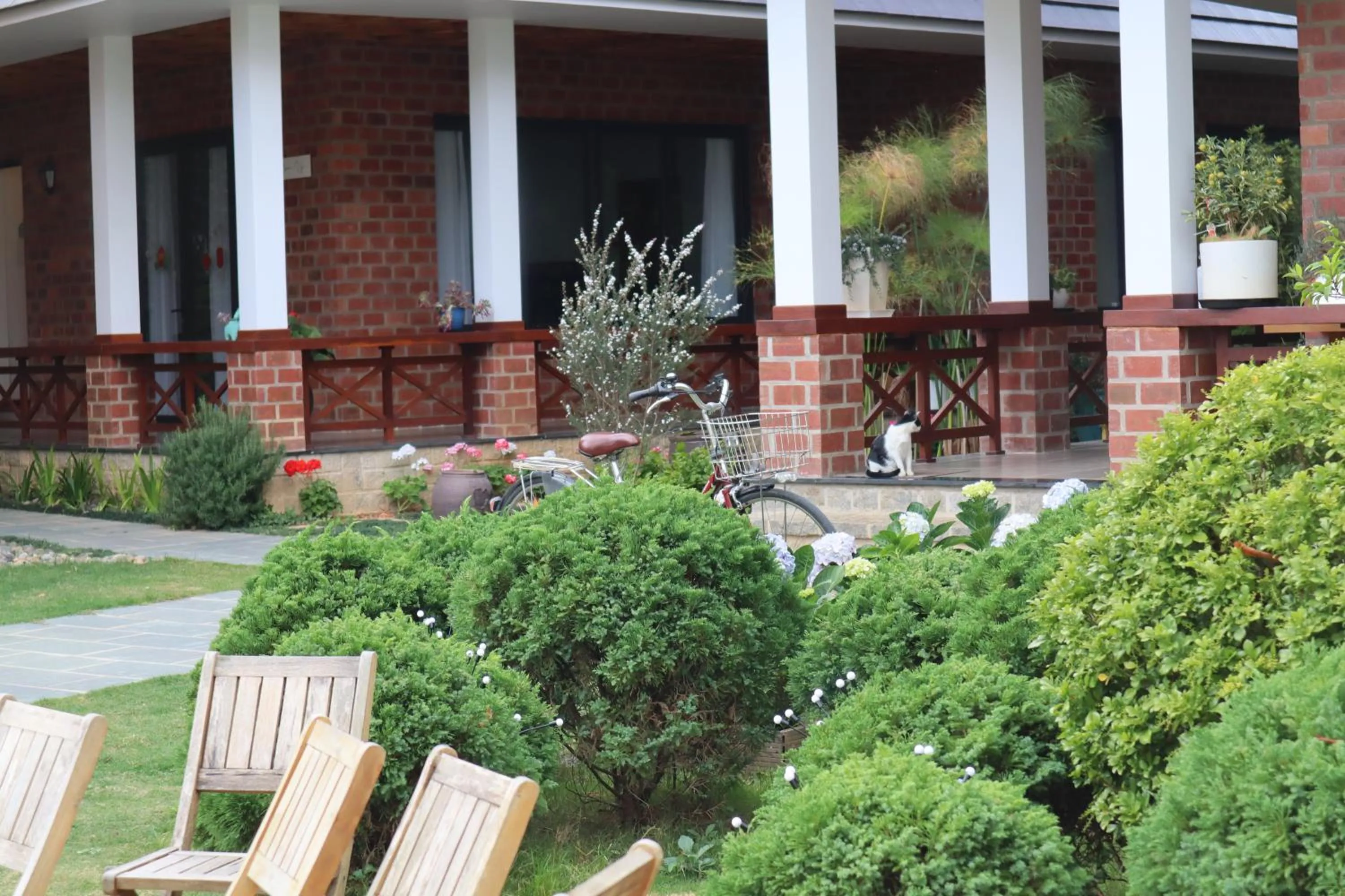 Spring in Hoang Loc Villa