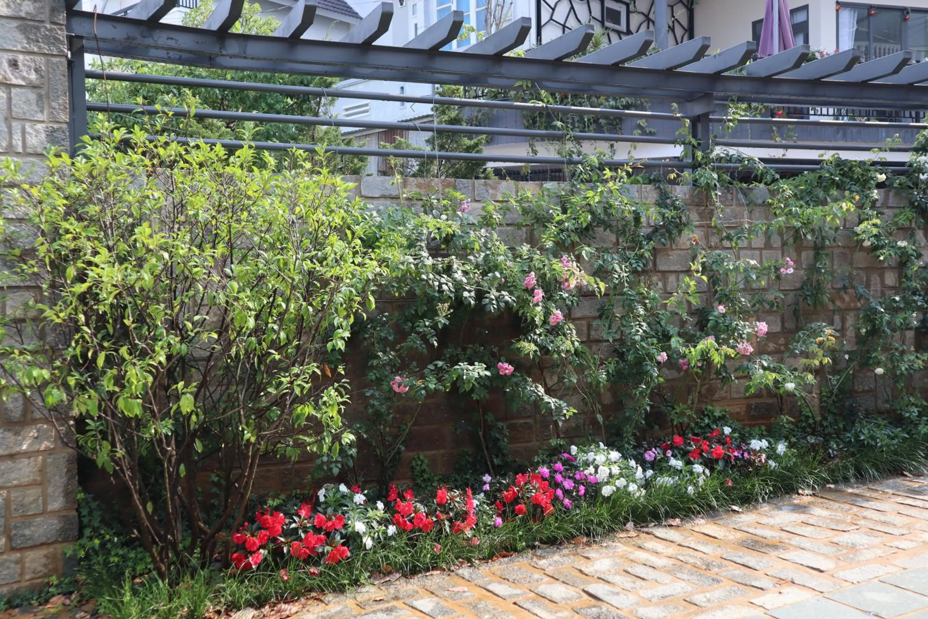 Spring in Hoang Loc Villa